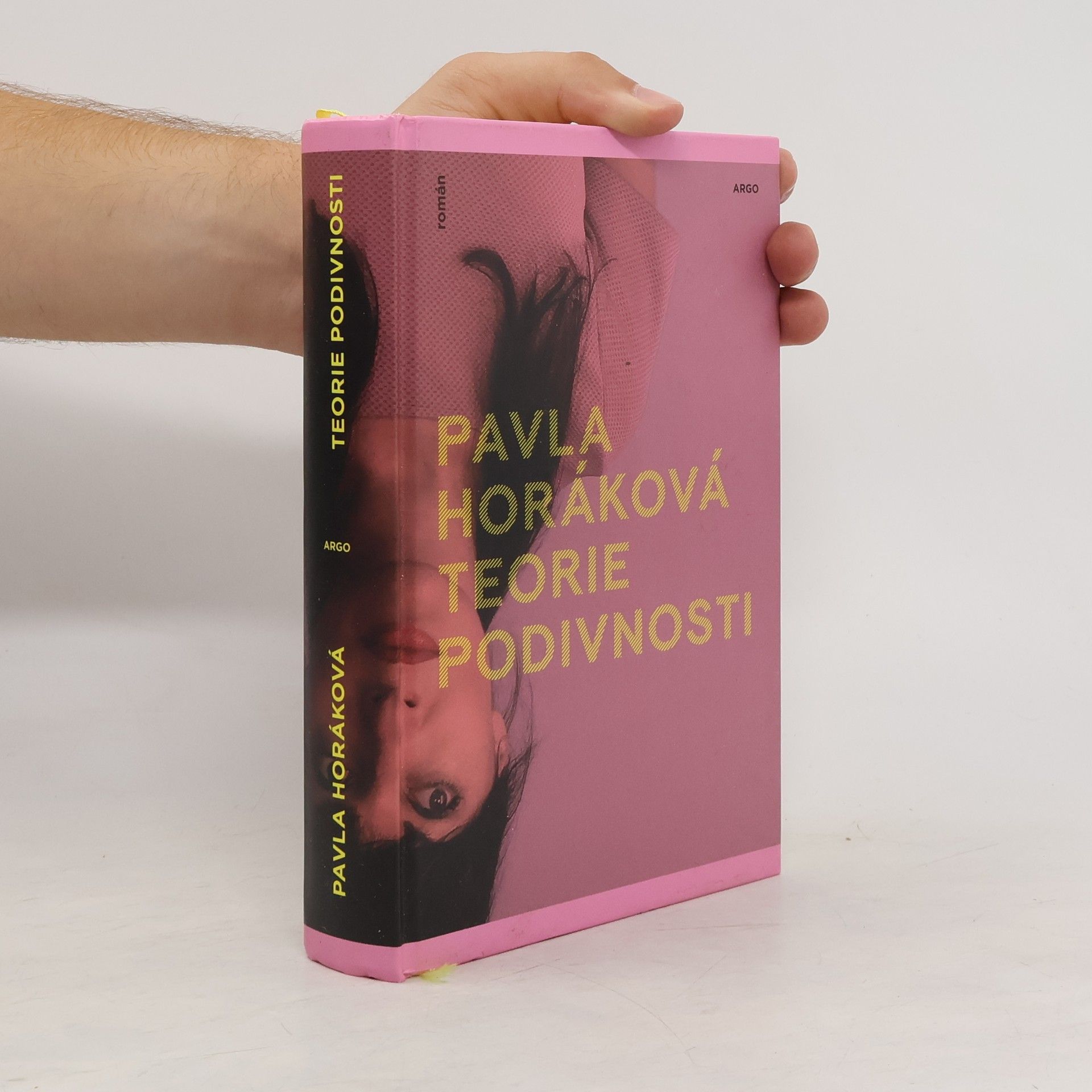 Pavla Horáková Teorie podivnosti