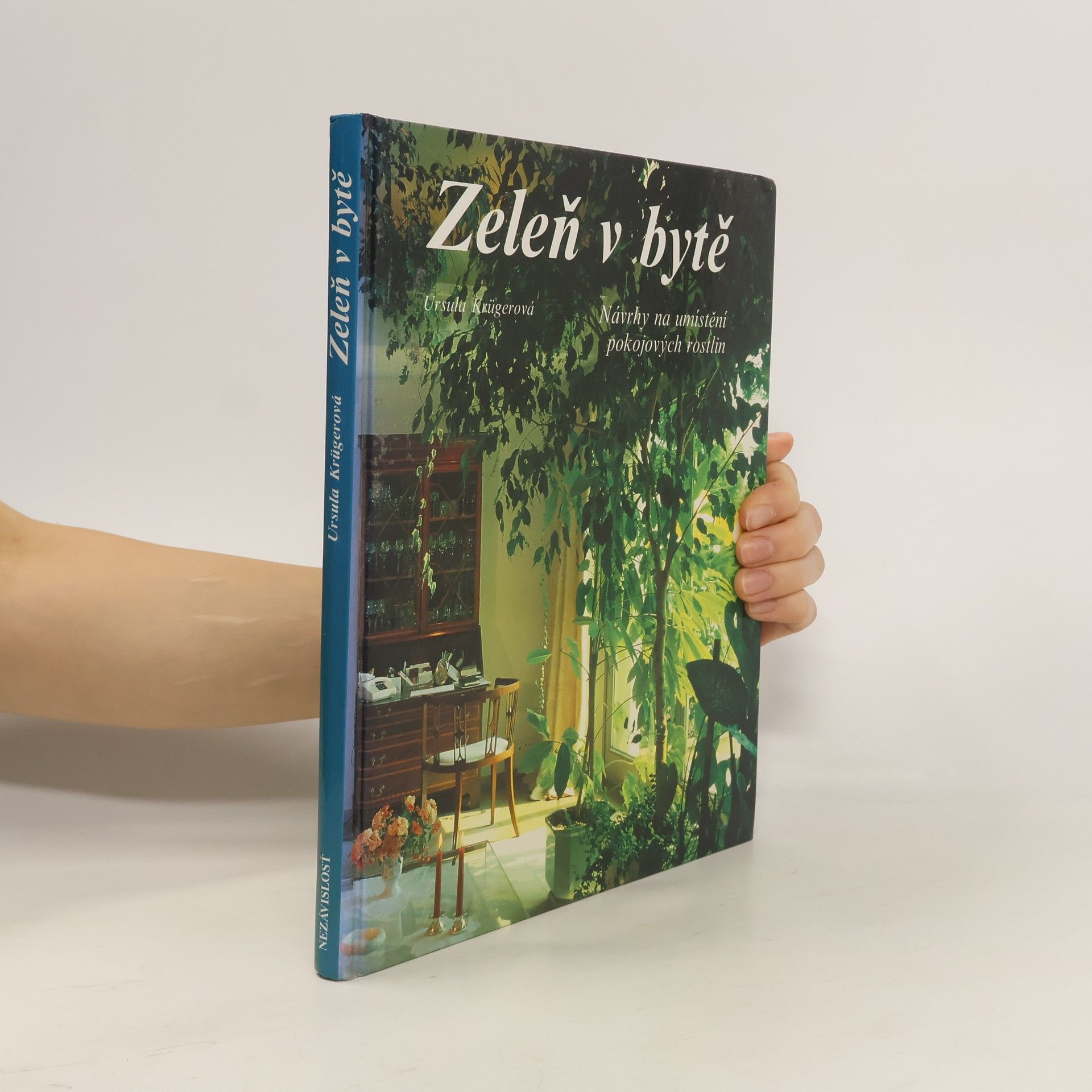 Ursula Krueger Zeleň v bytě. Návrhy na umístění pokojových rostlin