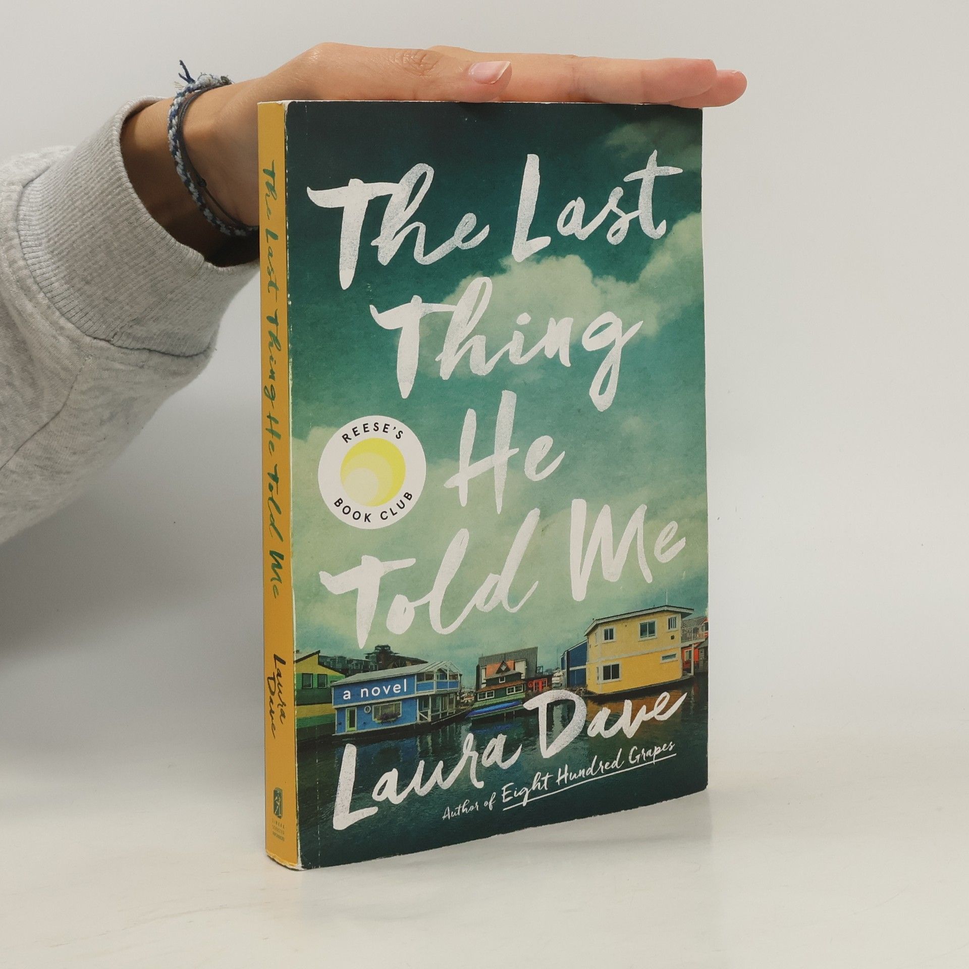 Laura Dave The Last Thing He Told Me