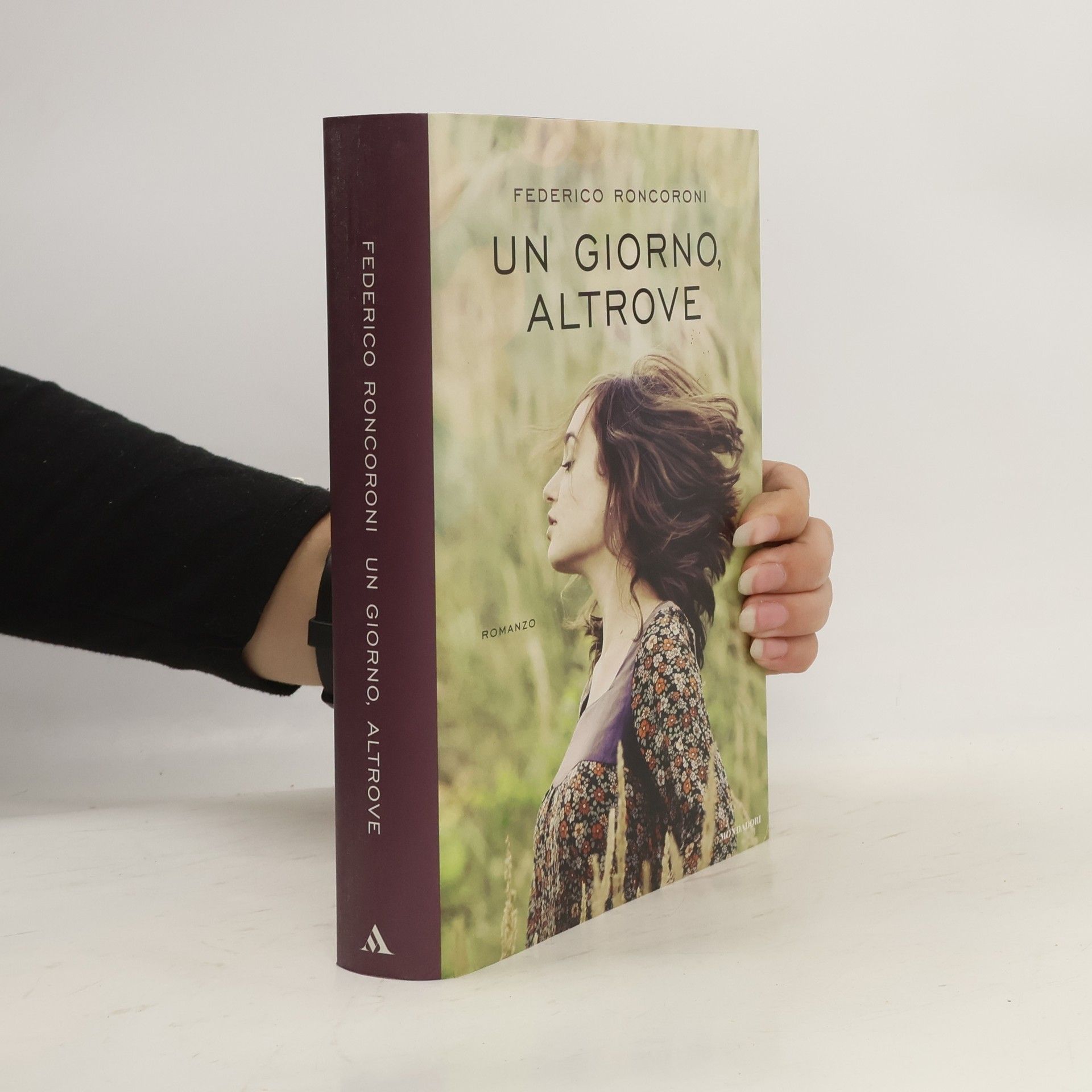 Federico Roncoroni Un giorno, altrove