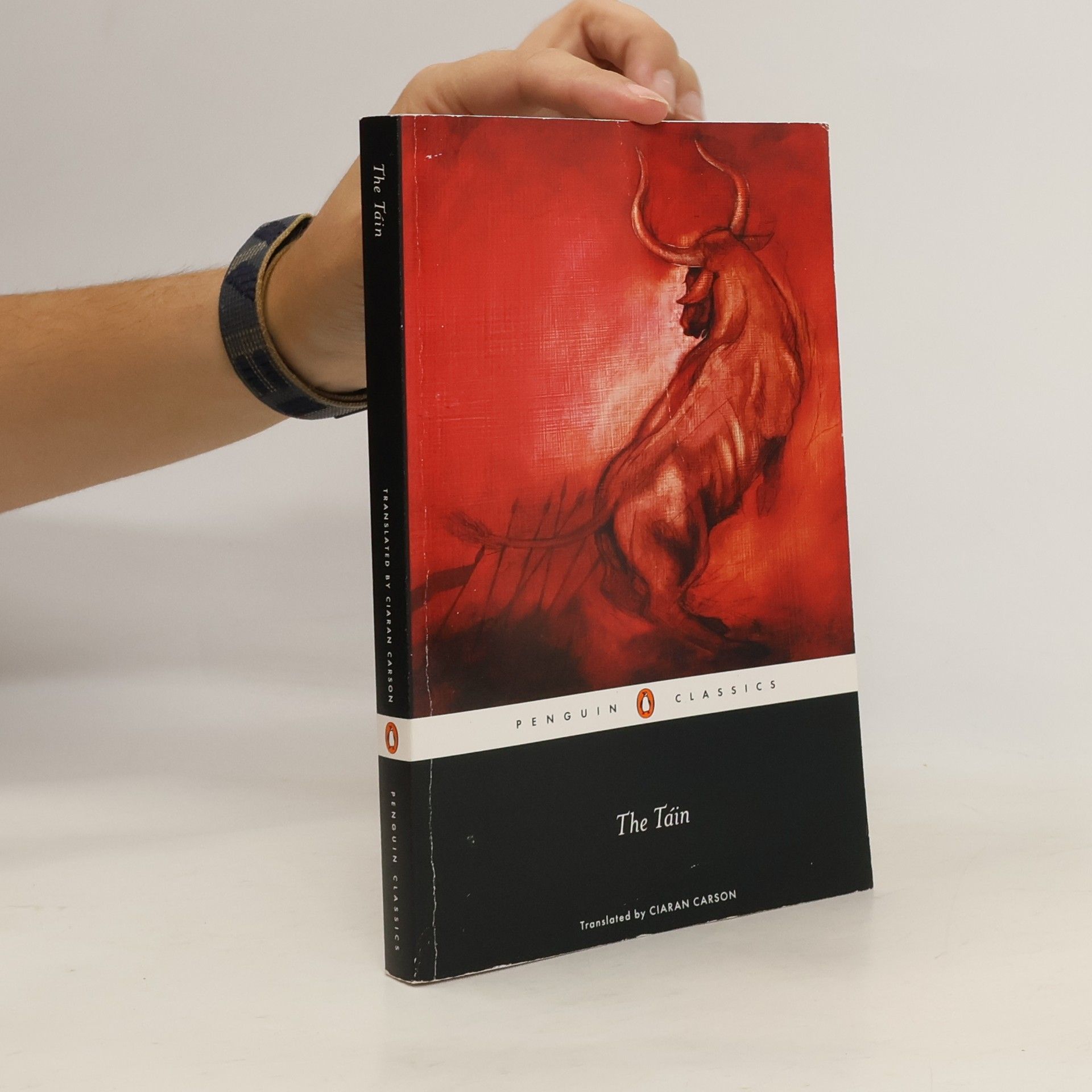 Penguin Books Ltd The Tain