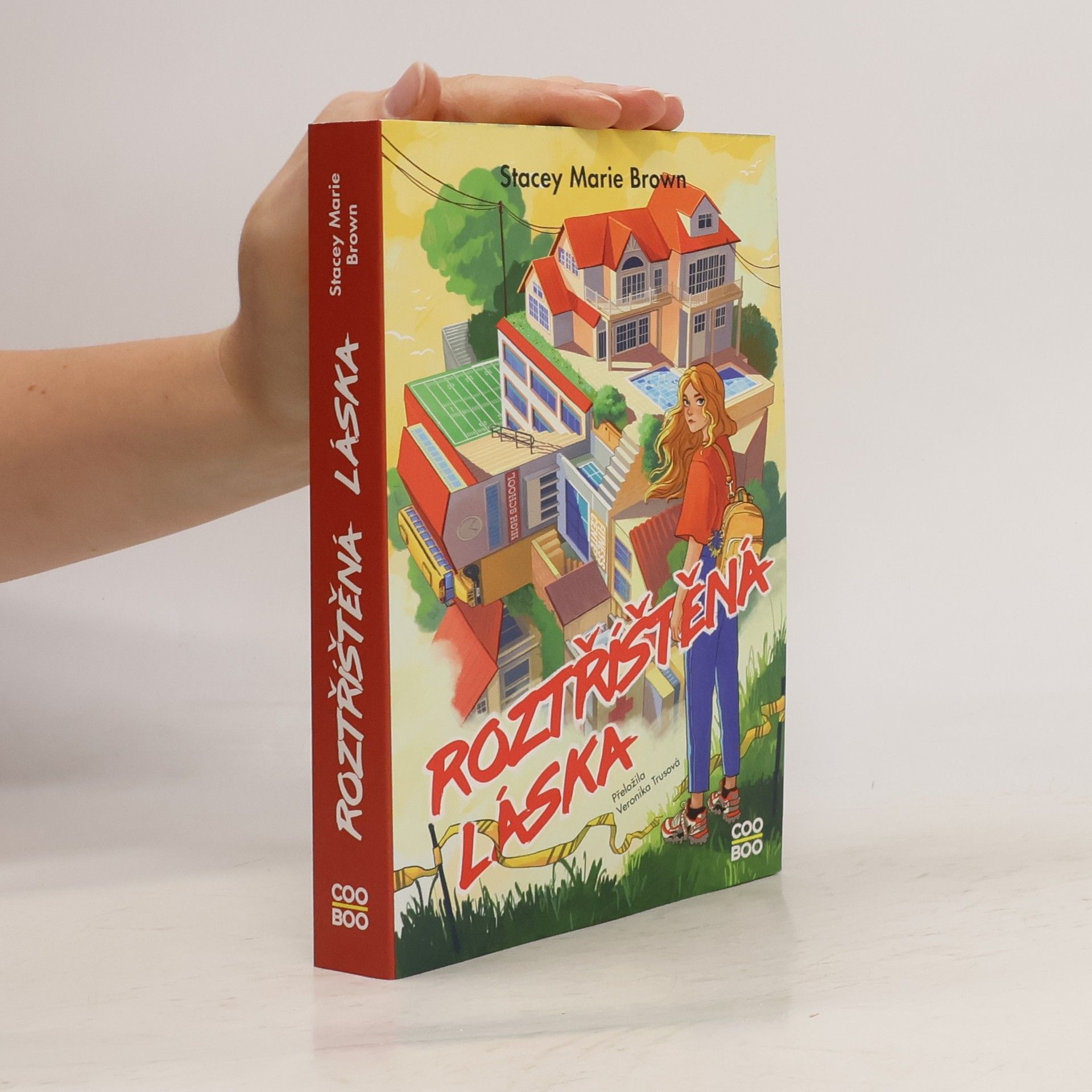 Stacey Marie Brown Roztříštěná láska