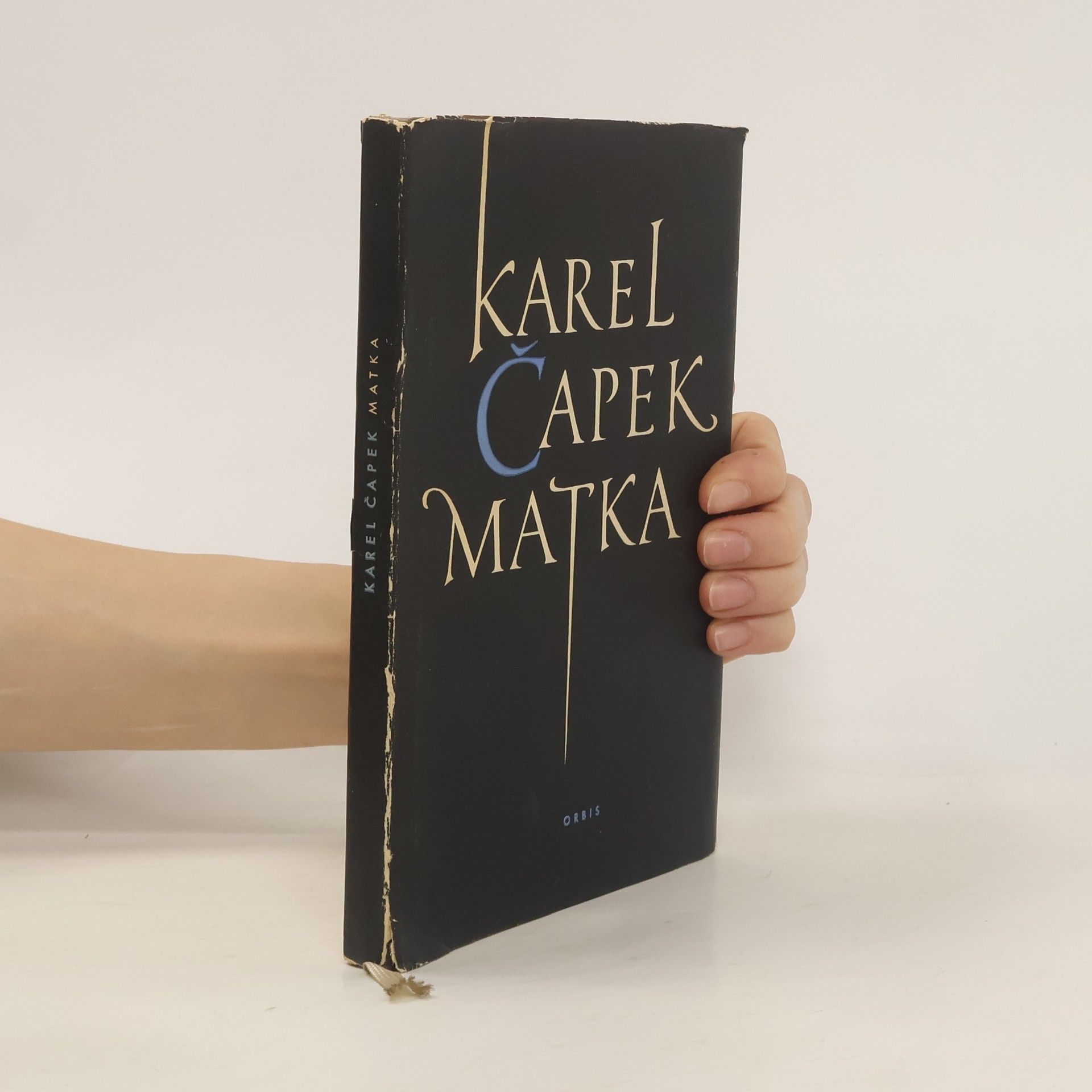 Karel Čapek Matka