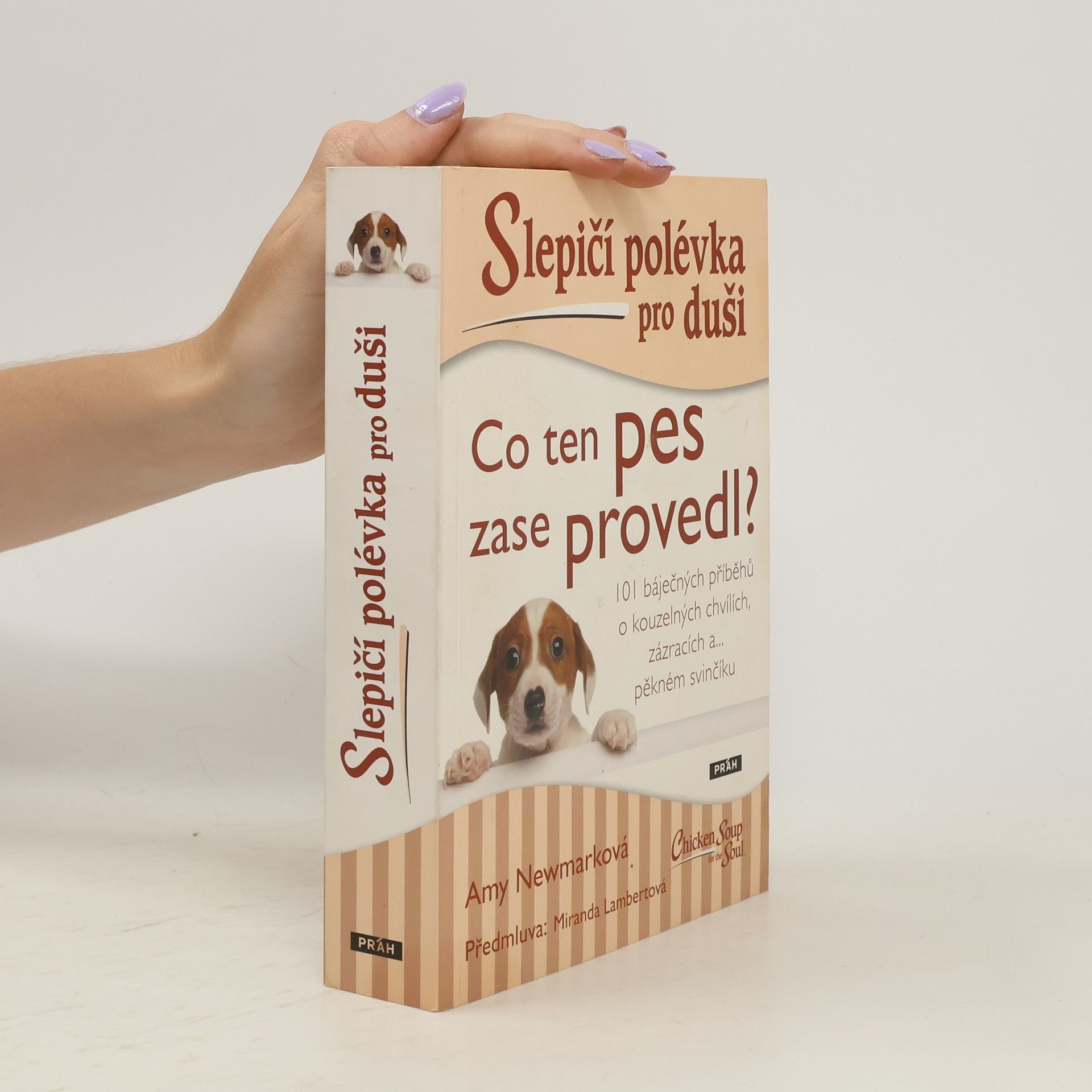 Amy Newmark Slepičí polévka pro duši. Co ten pes zase provedl?