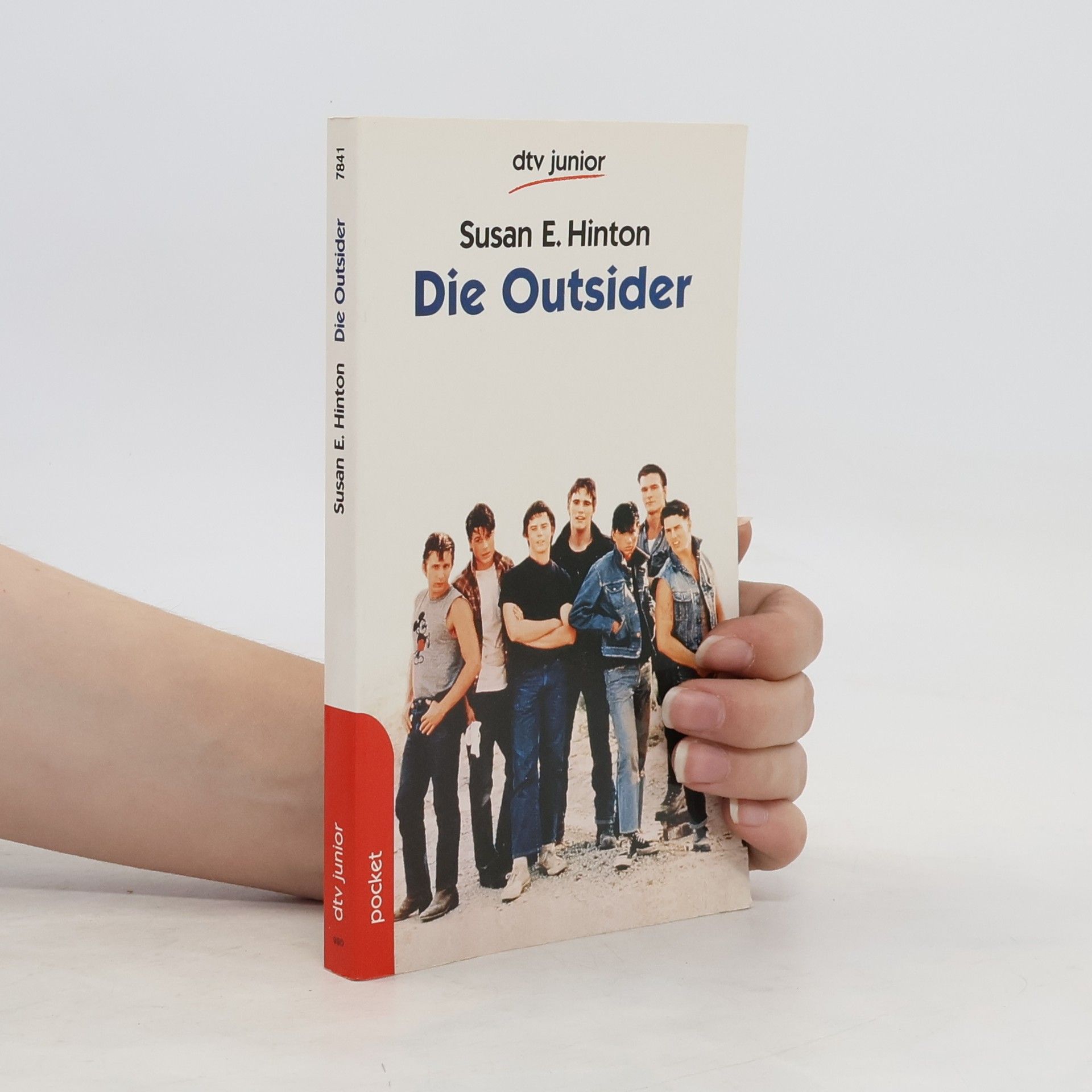 S. E. Hinton Die Outsider