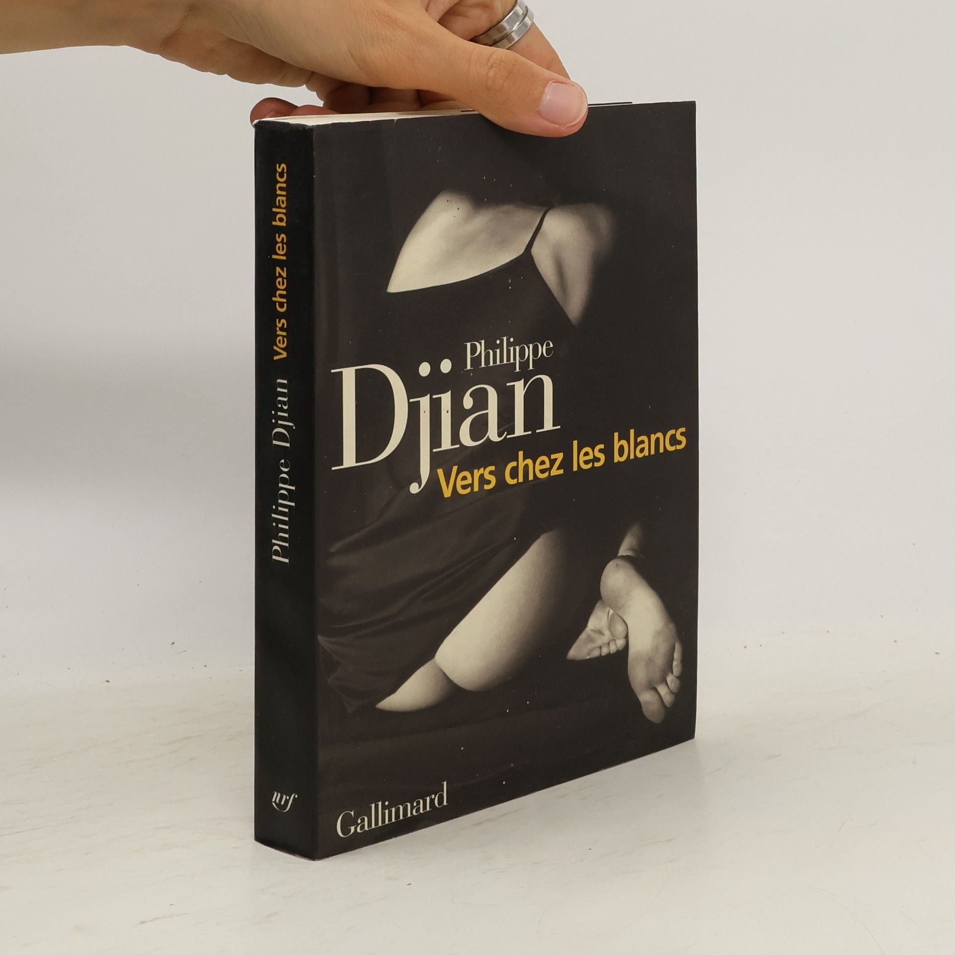 Phillippe Djian Vers chez les blancs