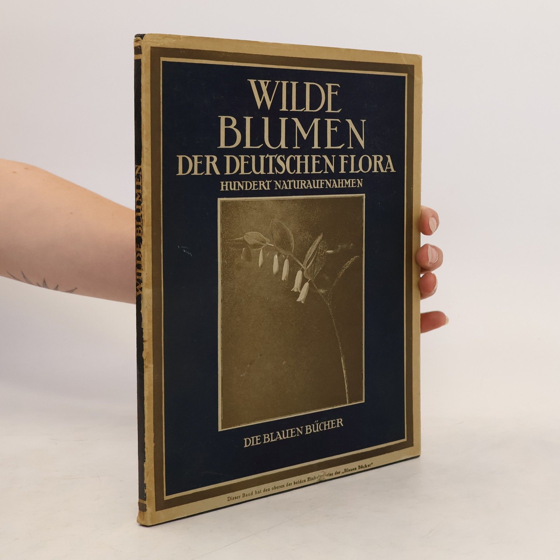 Paul Dobe Wilde Blumen der deutschen Flora