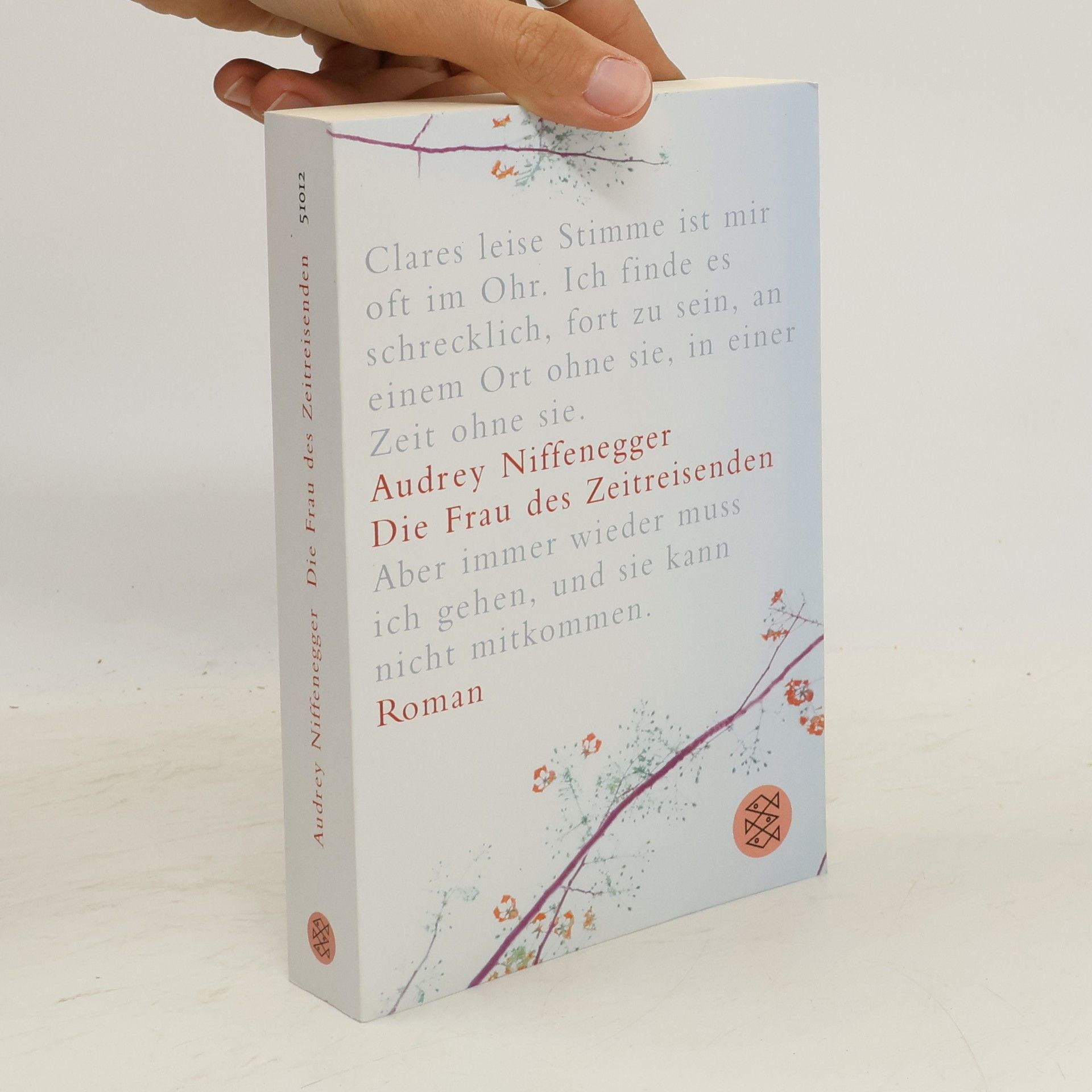 Audrey Niffenegger Die Frau des Zeitreisenden