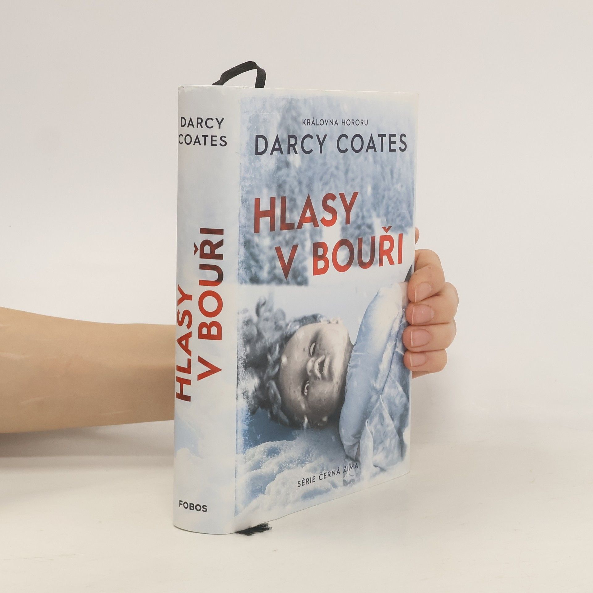 Darcy Coates Hlasy v bouři