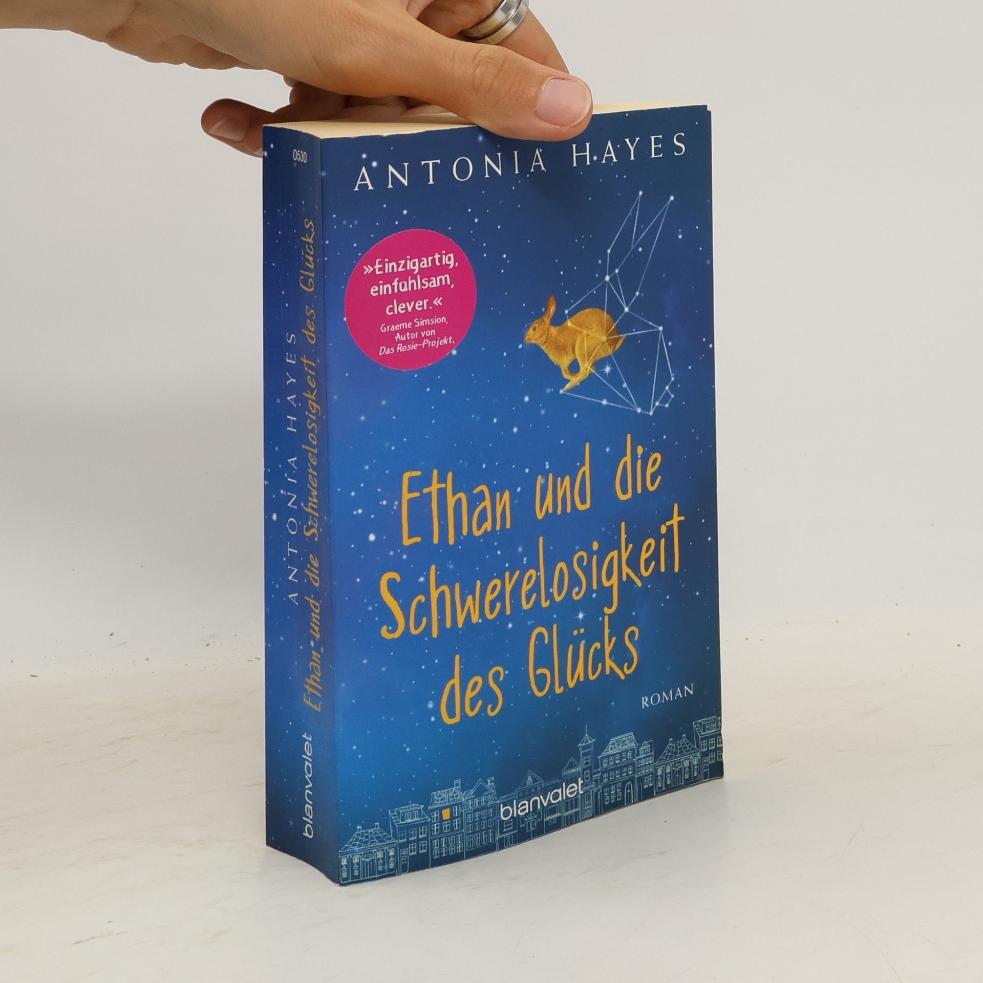 Antonia Hayes Ethan und die Schwerelosigkeit des Glücks