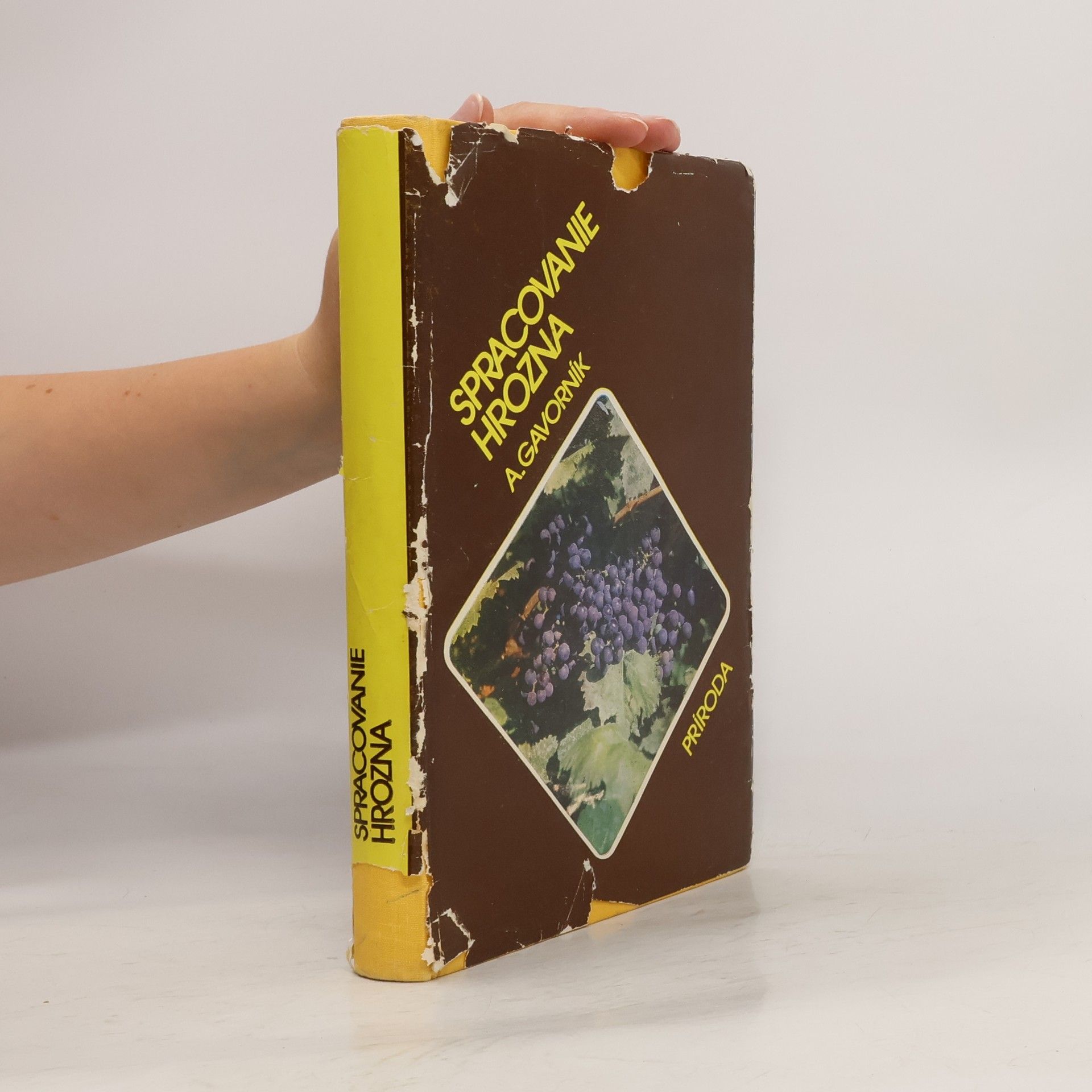 Anton Gavorík Spracovanie hrozna