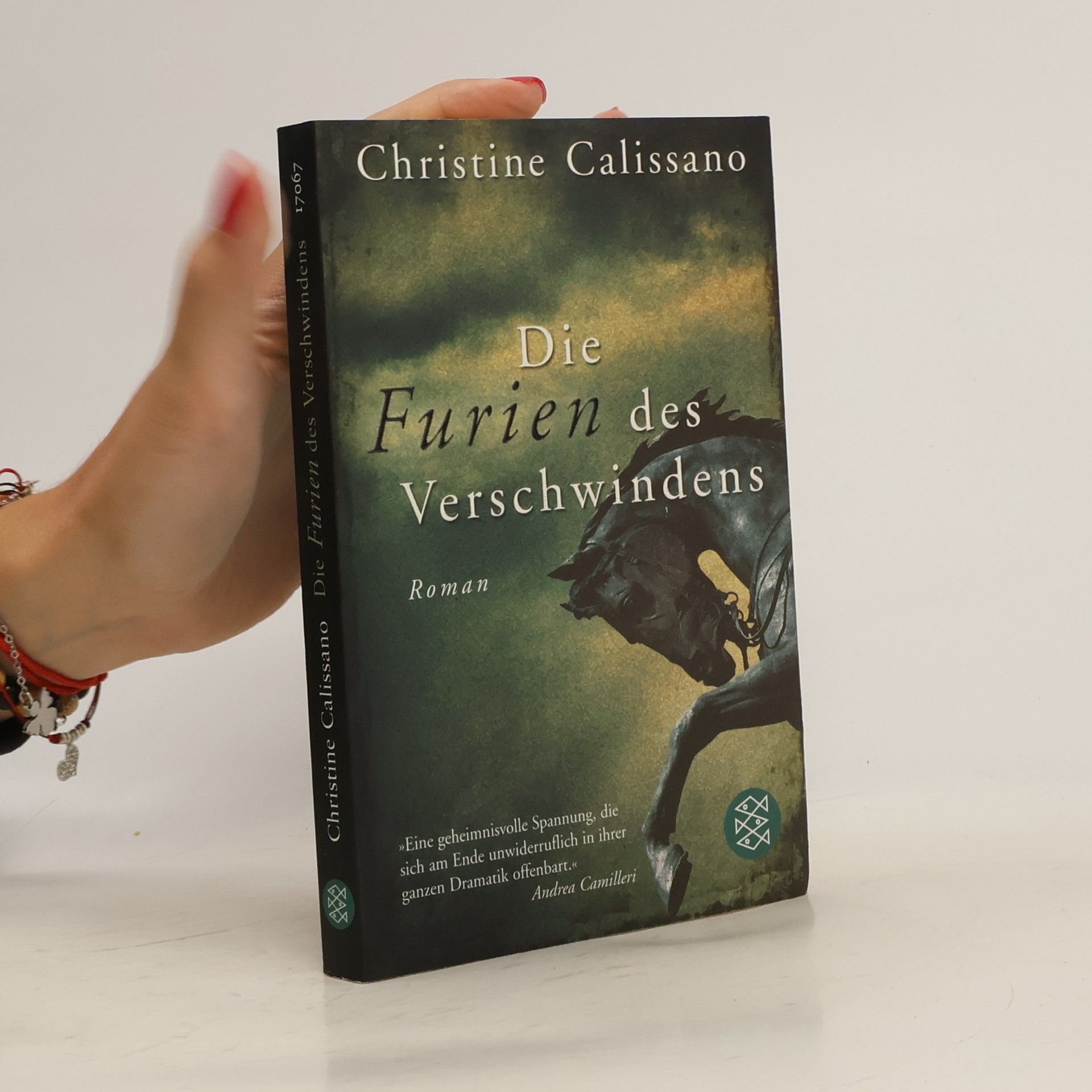 Christine Calissano Die Furien des Verschwindens