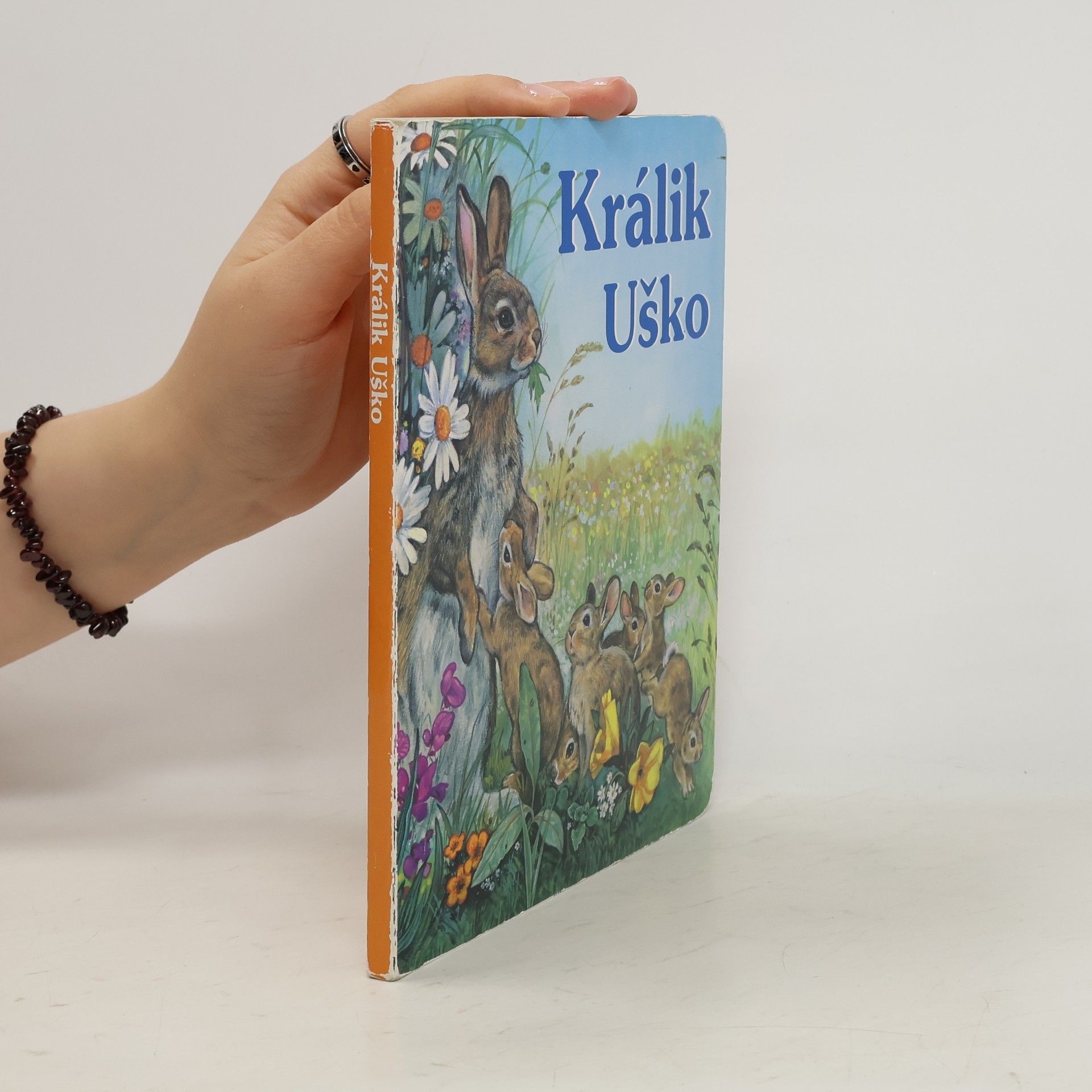 Collectif d'auteurs Králik Uško