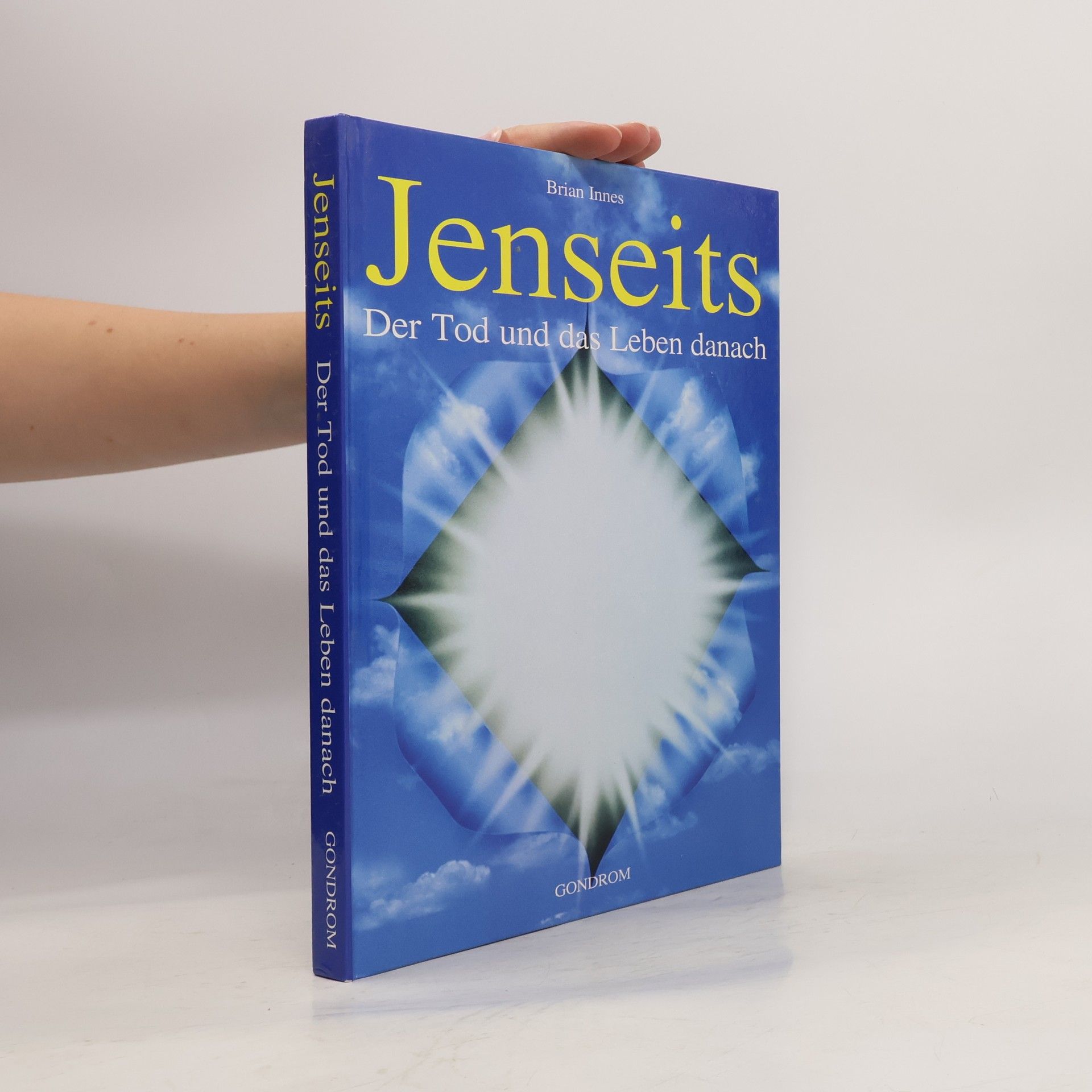 Brian Innes Jenseits. Der Tod und das Leben danach