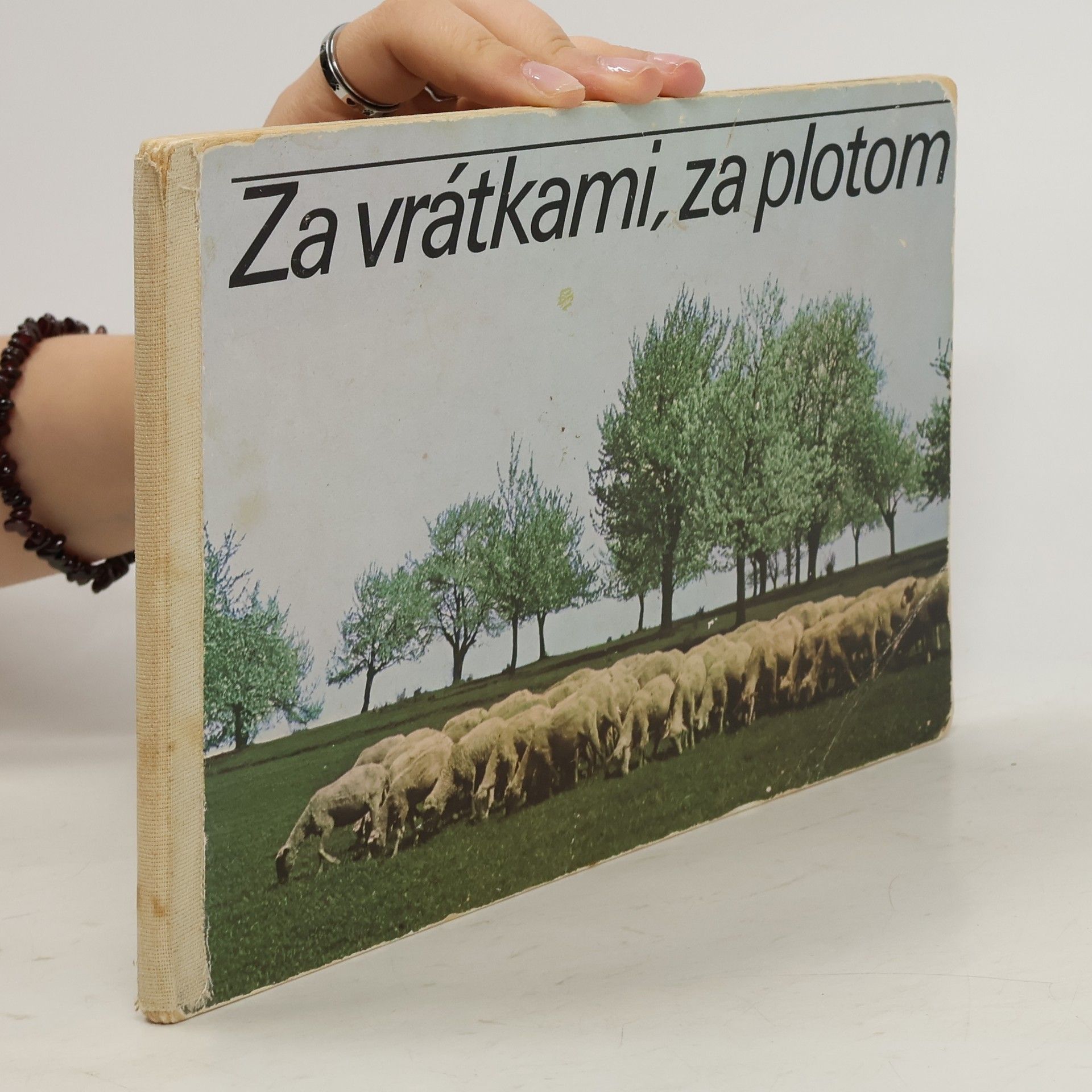 Julius Kontár Za vrátkami, za plotom