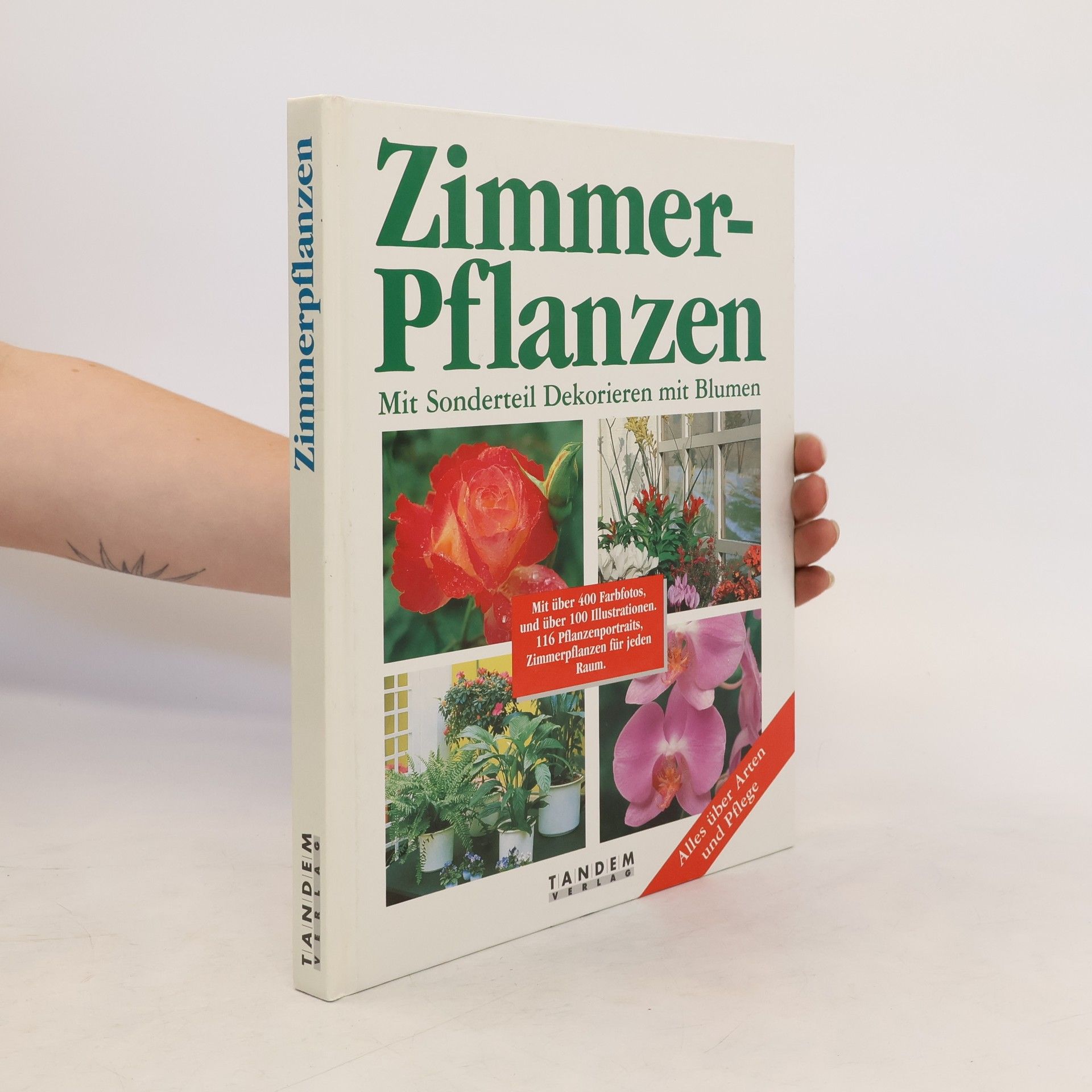 Autores varios Zimmer-Pflanzen