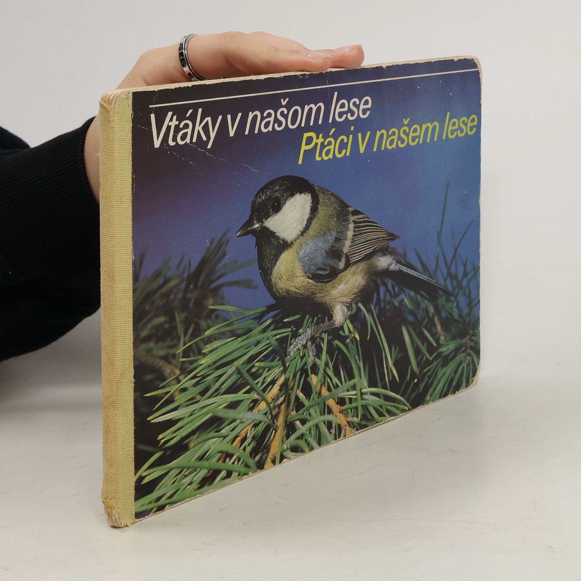 AA.VV. Vtáky v našom lese. Ptáci v našem lese