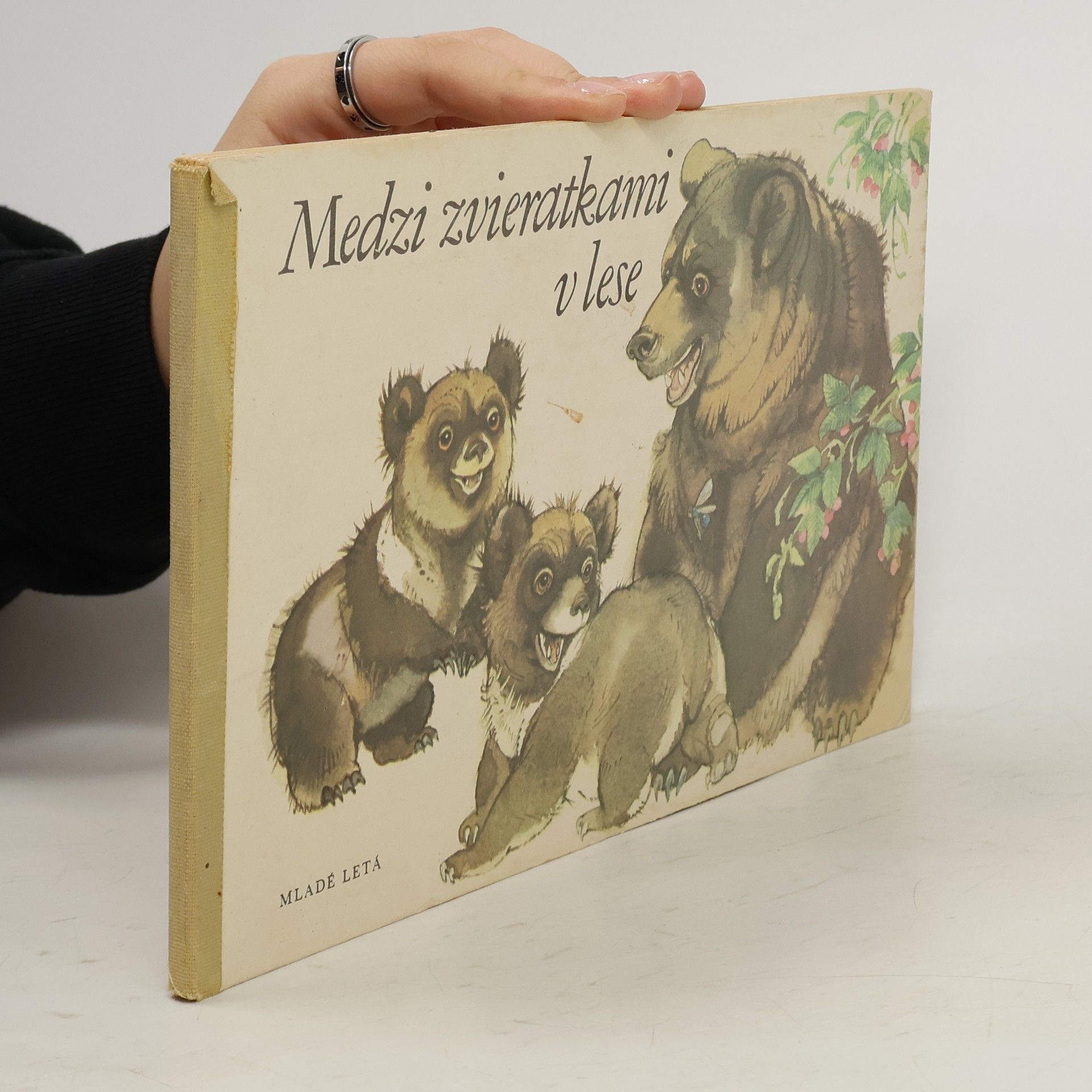 Autores varios Medzi zvieratkami v lese