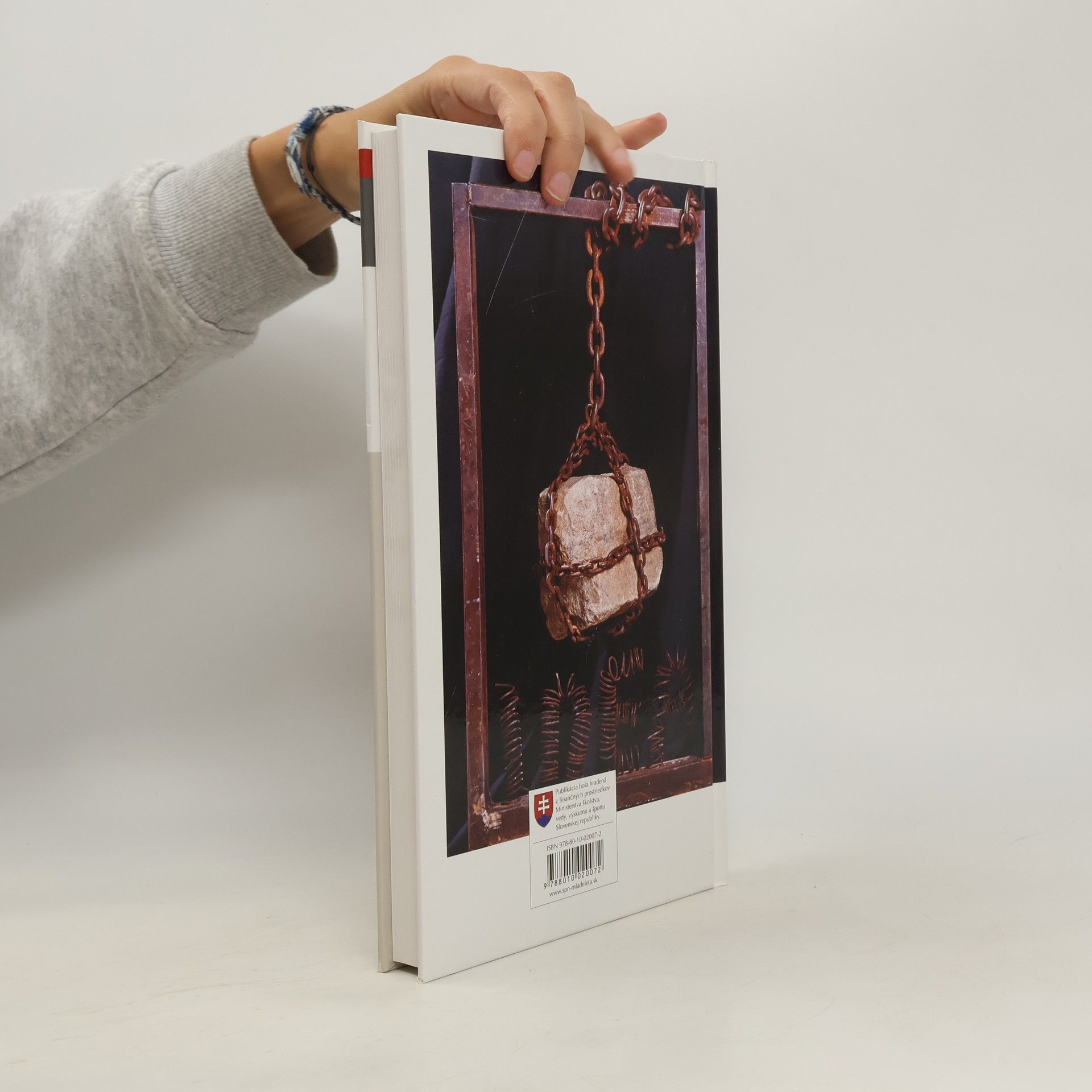 Various authors Dejiny výtvarného umenia a umeleckých remesiel