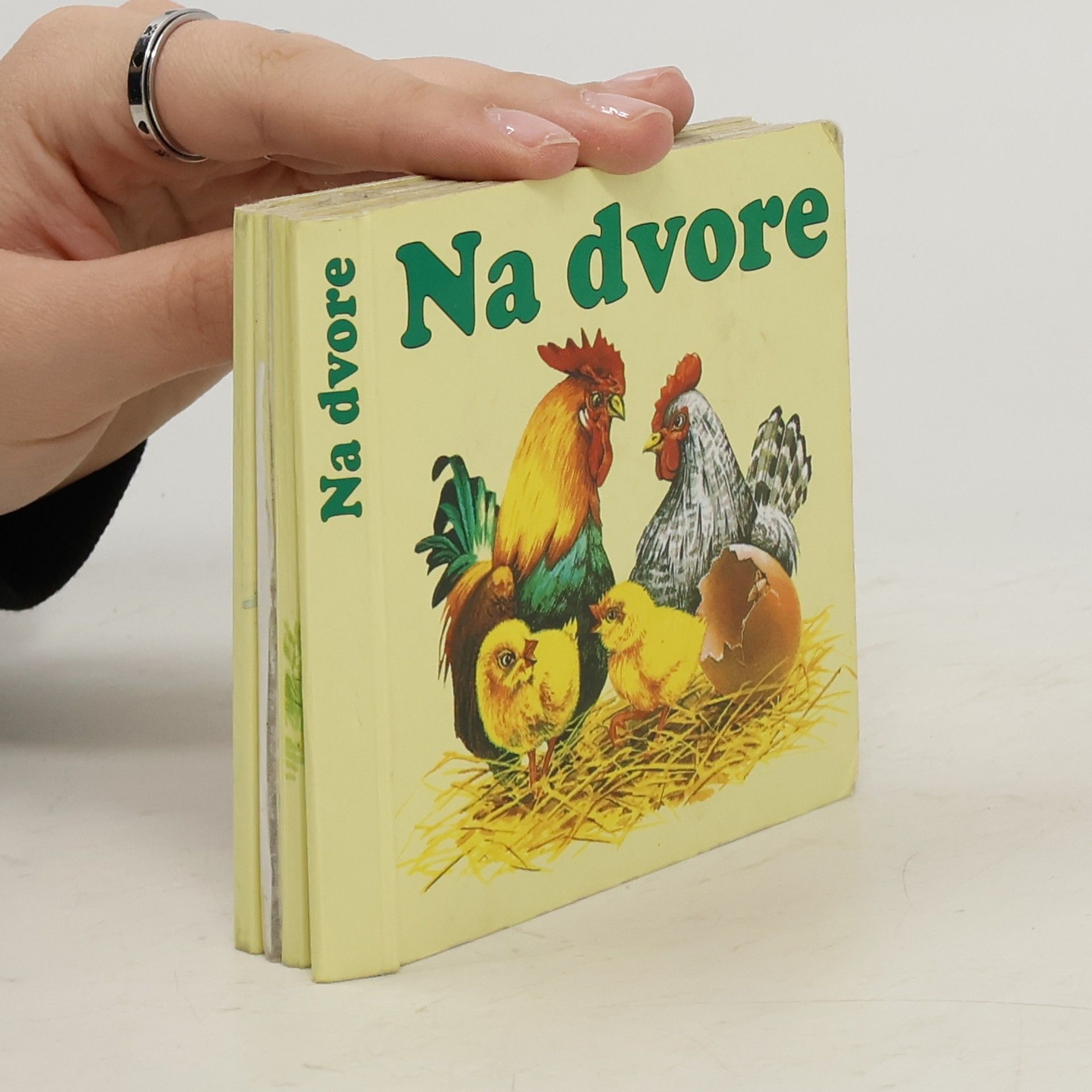 Kłapyta Andrzej Na dvore