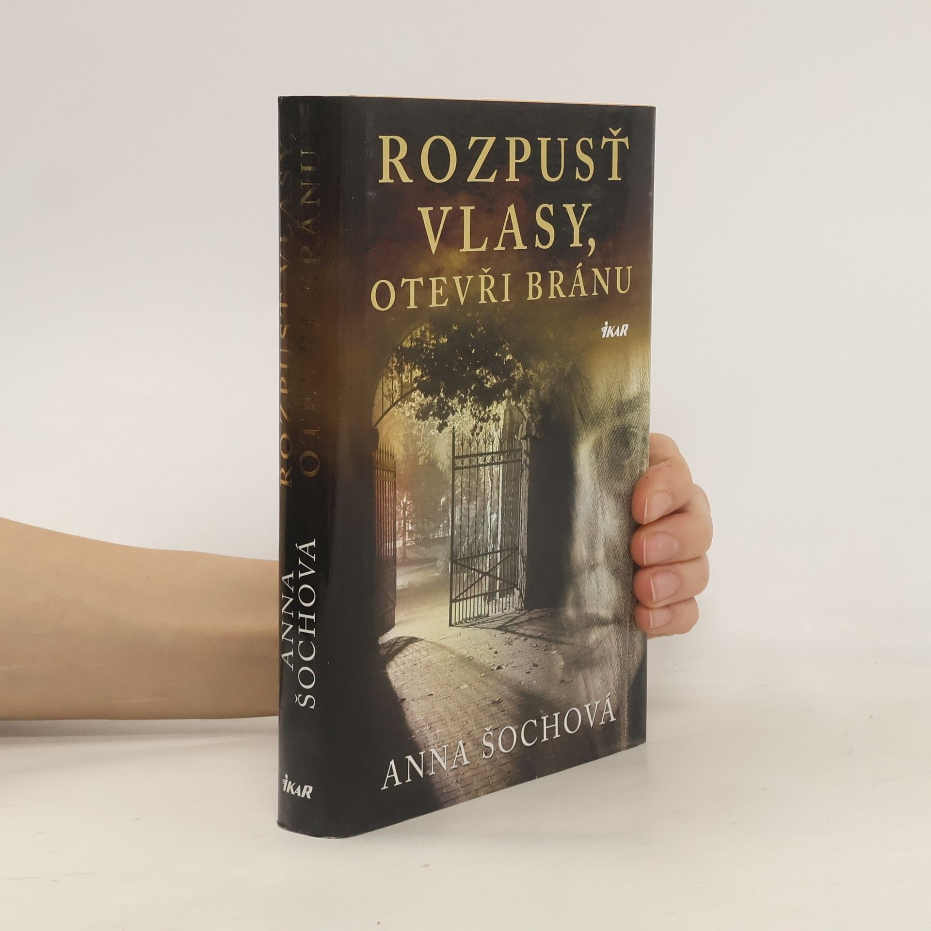 Anna Šochová Rozpusť vlasy, otevři bránu