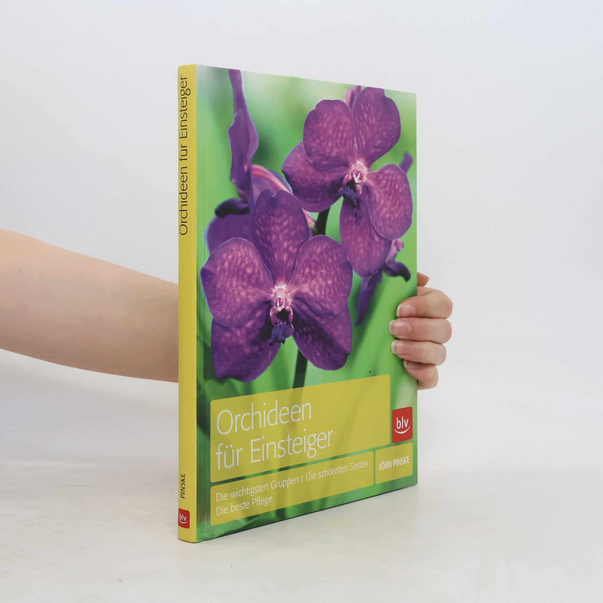 Jörn Pinske Orchideen für Einsteiger
