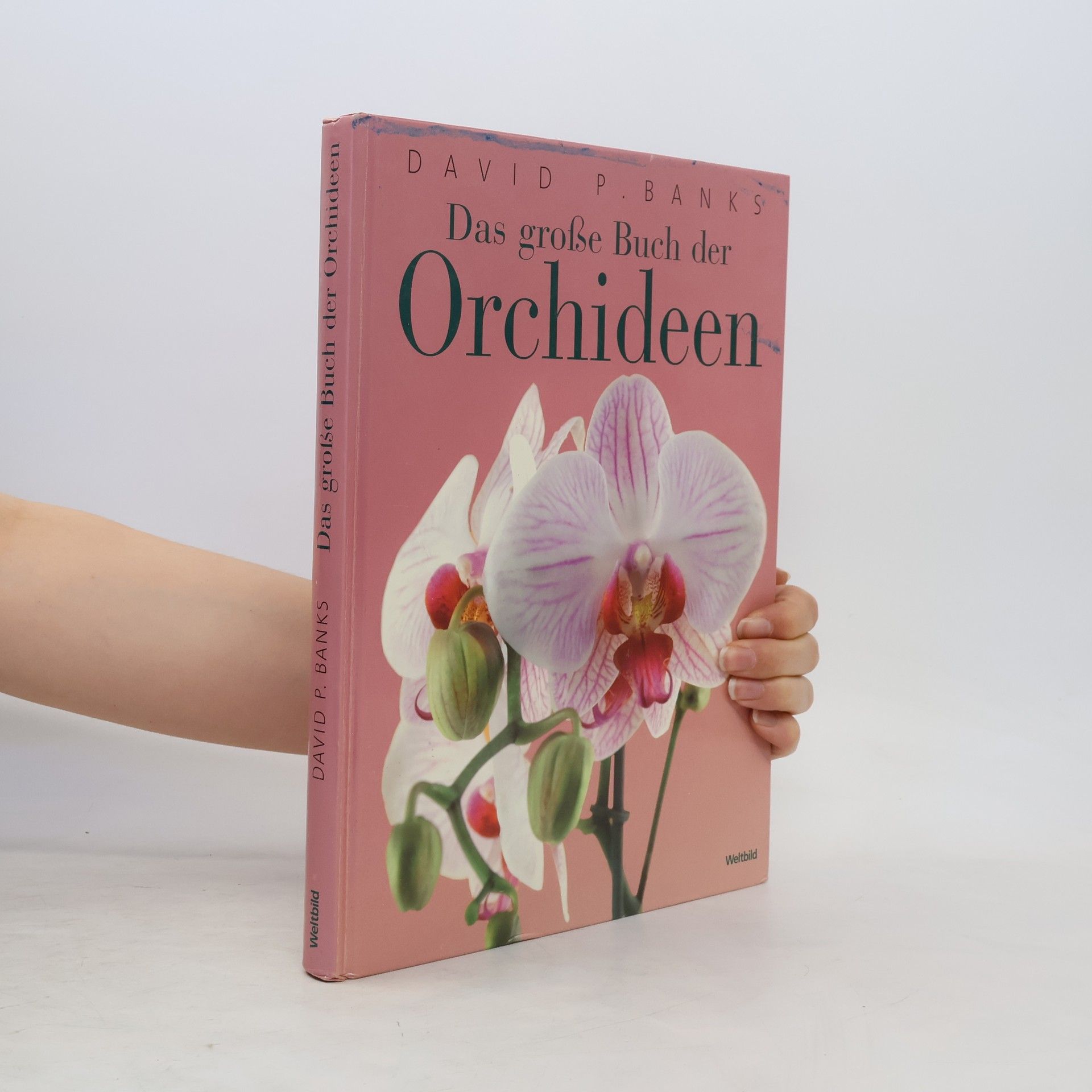 David Banks Das große Buch der Orchideen