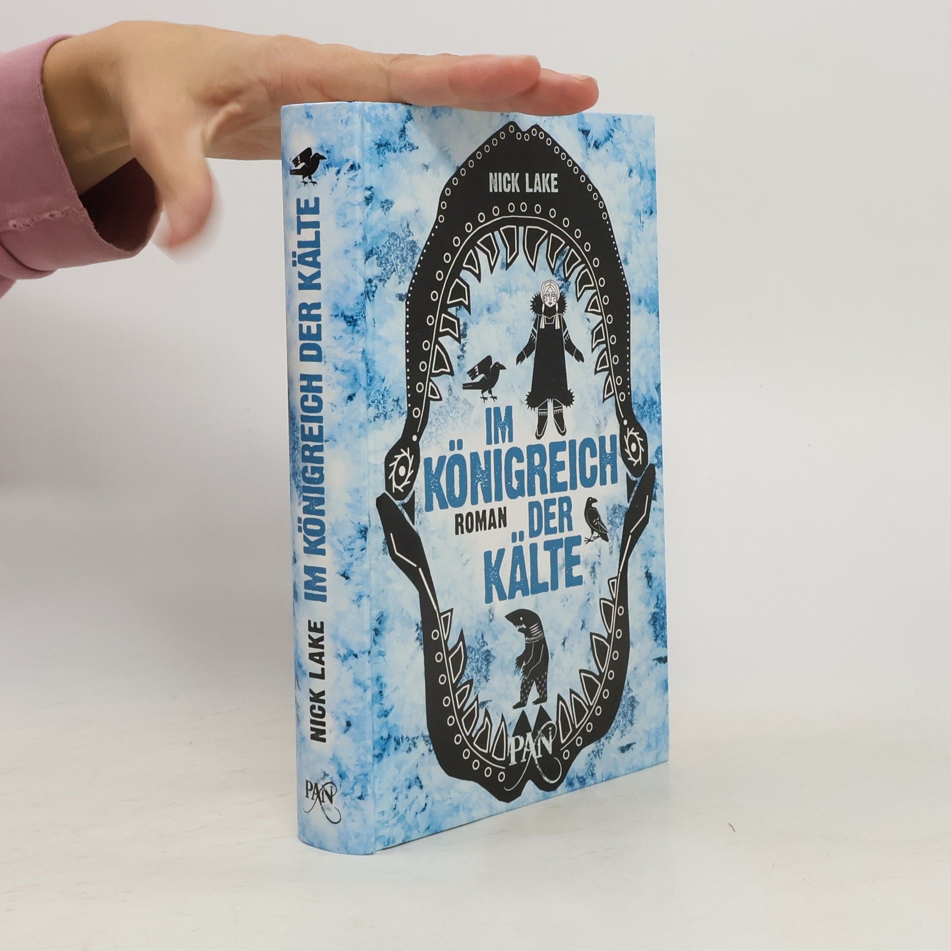 Nick Lake Im Königreich der Kälte