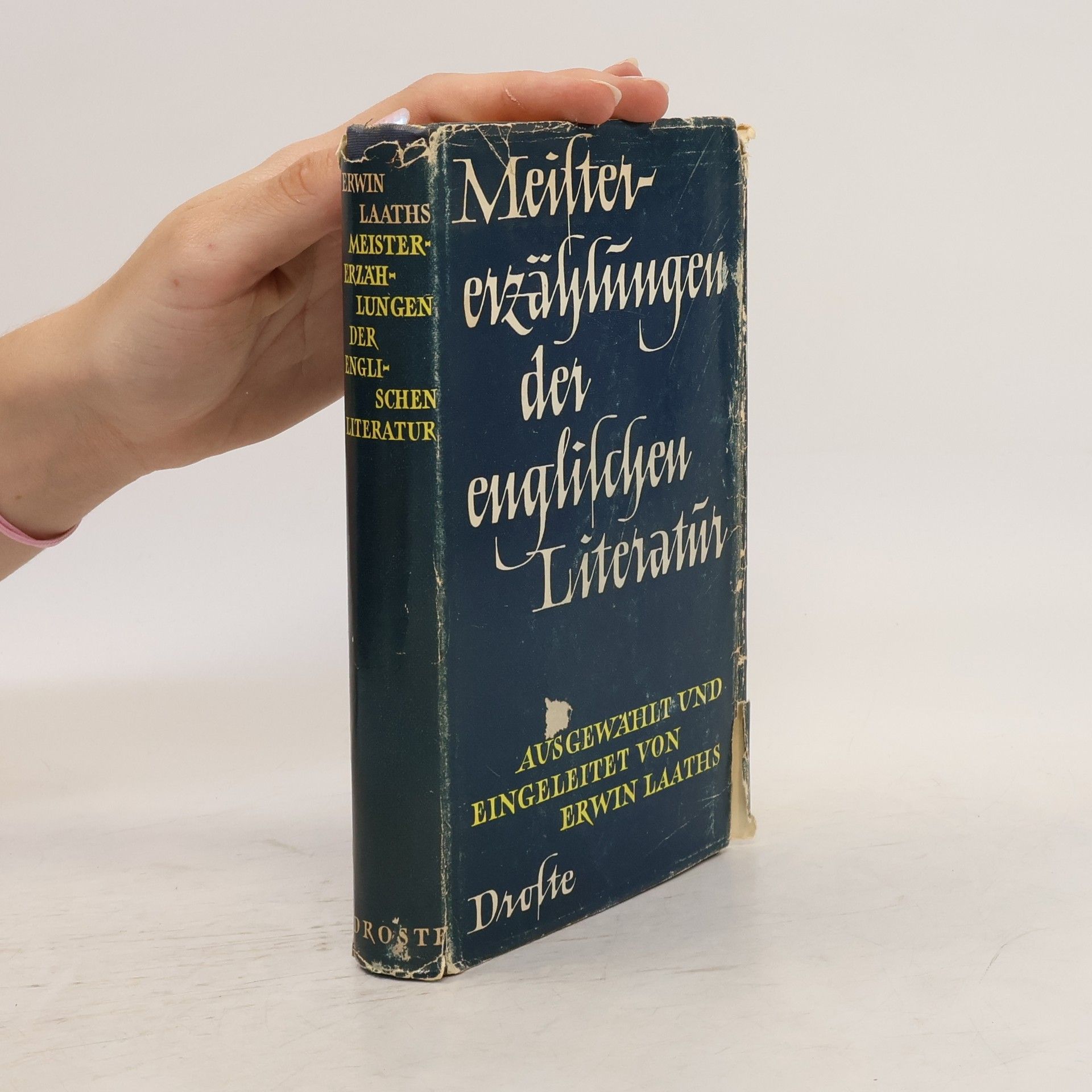 Autorenkollektiv Meistererzählungen der englischen Literatur