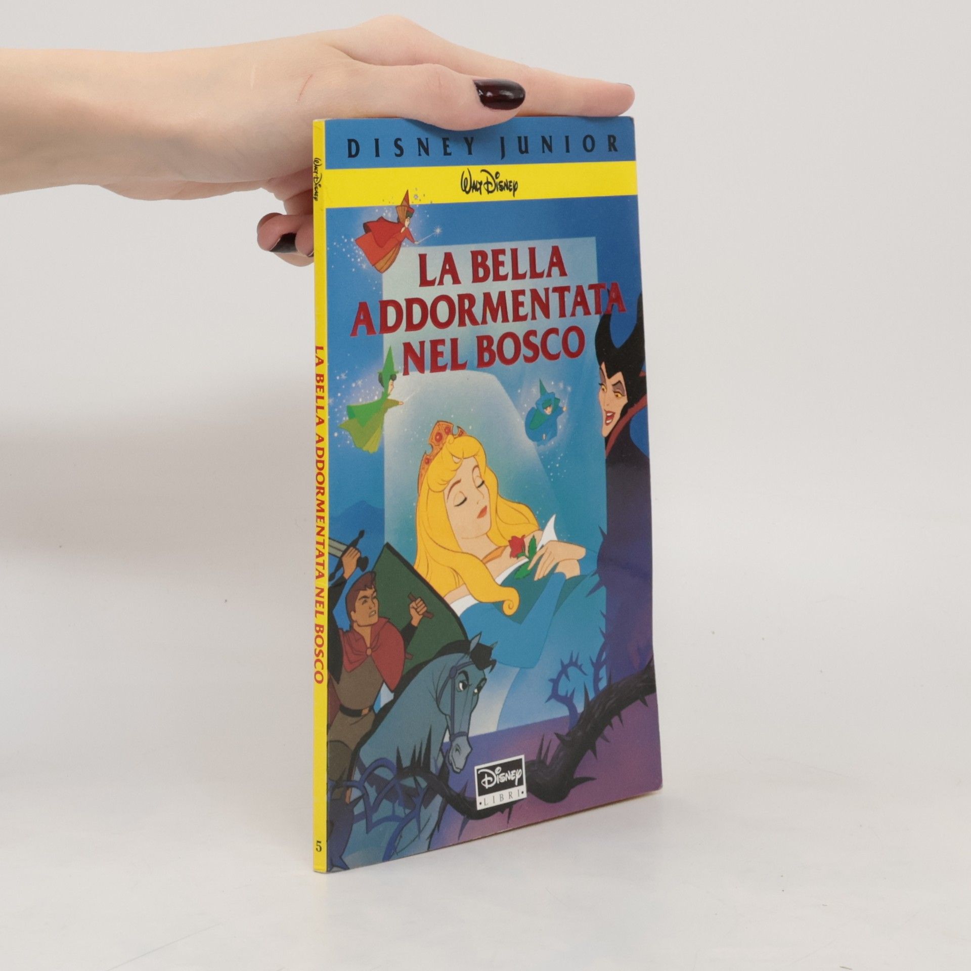 Kolektív autorov La bella addormentata nel bosco