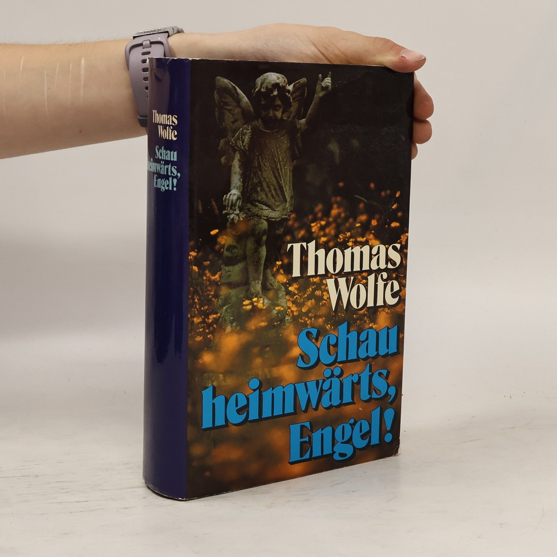 Thomas Wolfe Schau Heimwärts, Engel!
