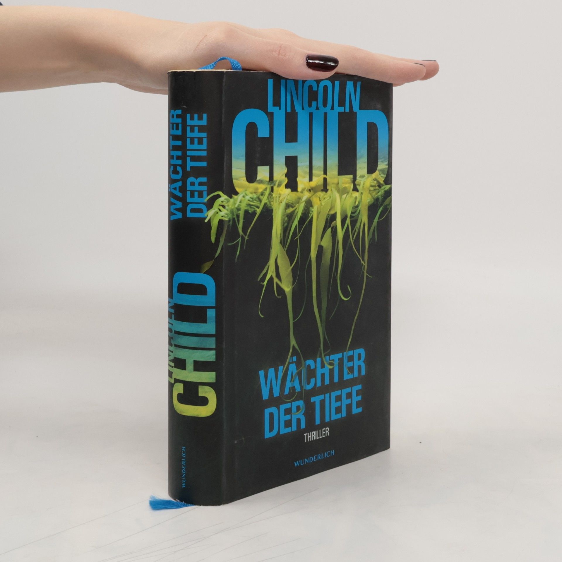 Lincoln Child Wächter der Tiefe