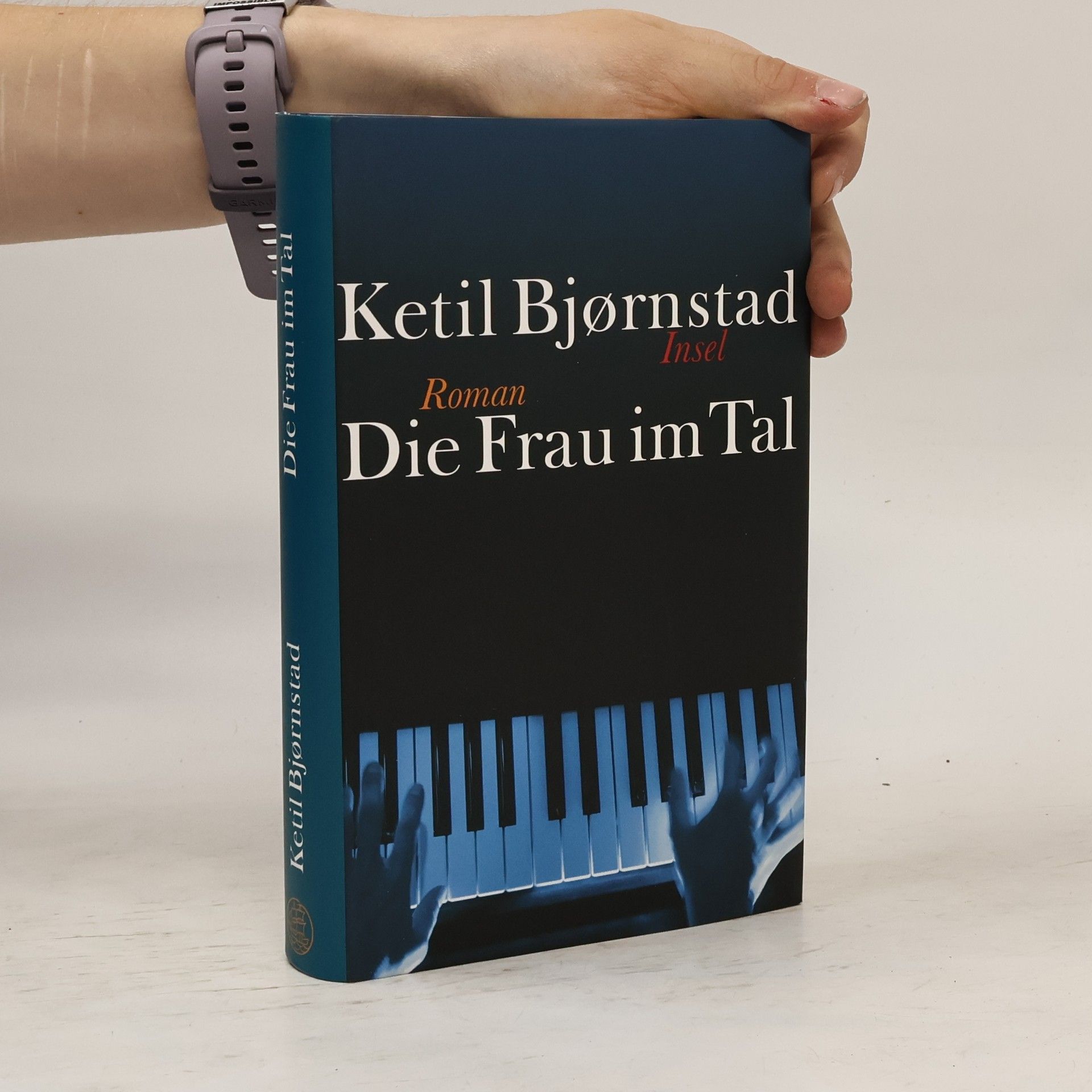 Ketil Bjørnstad Die Frau im Tal