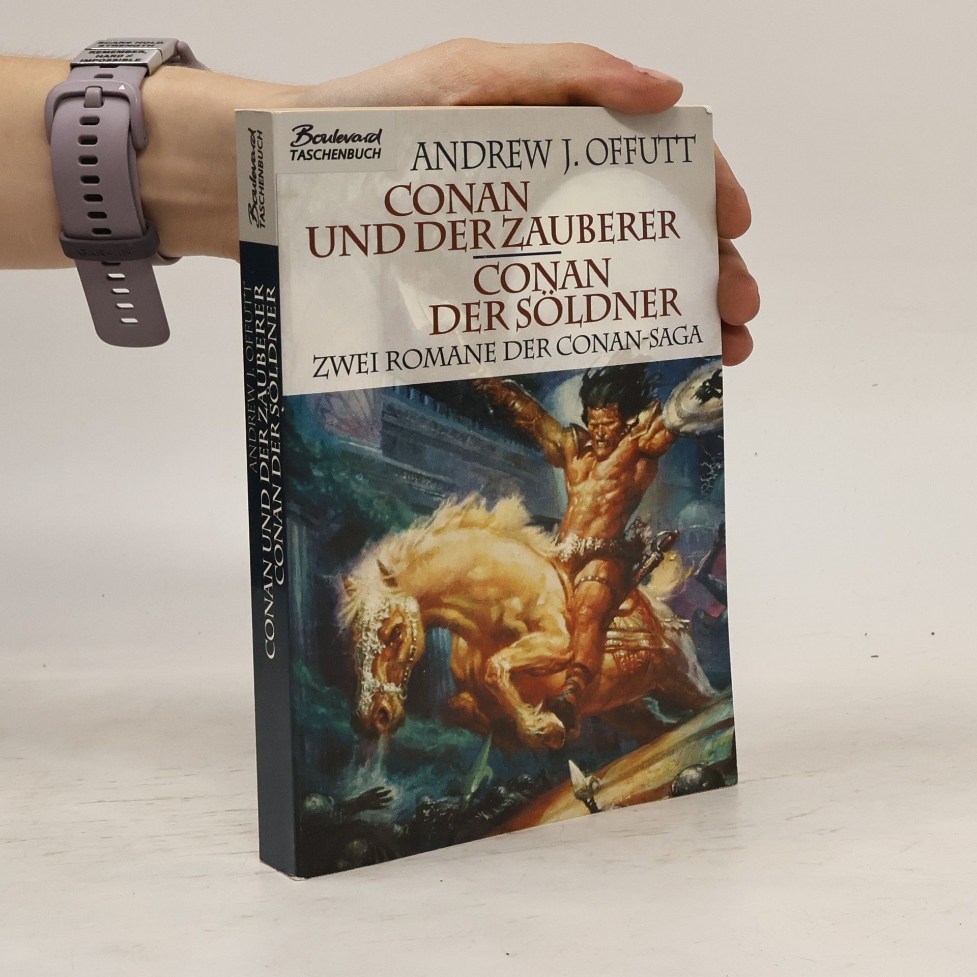Andrew J. Offutt Conan und der Zauberer. Conan der Söldner