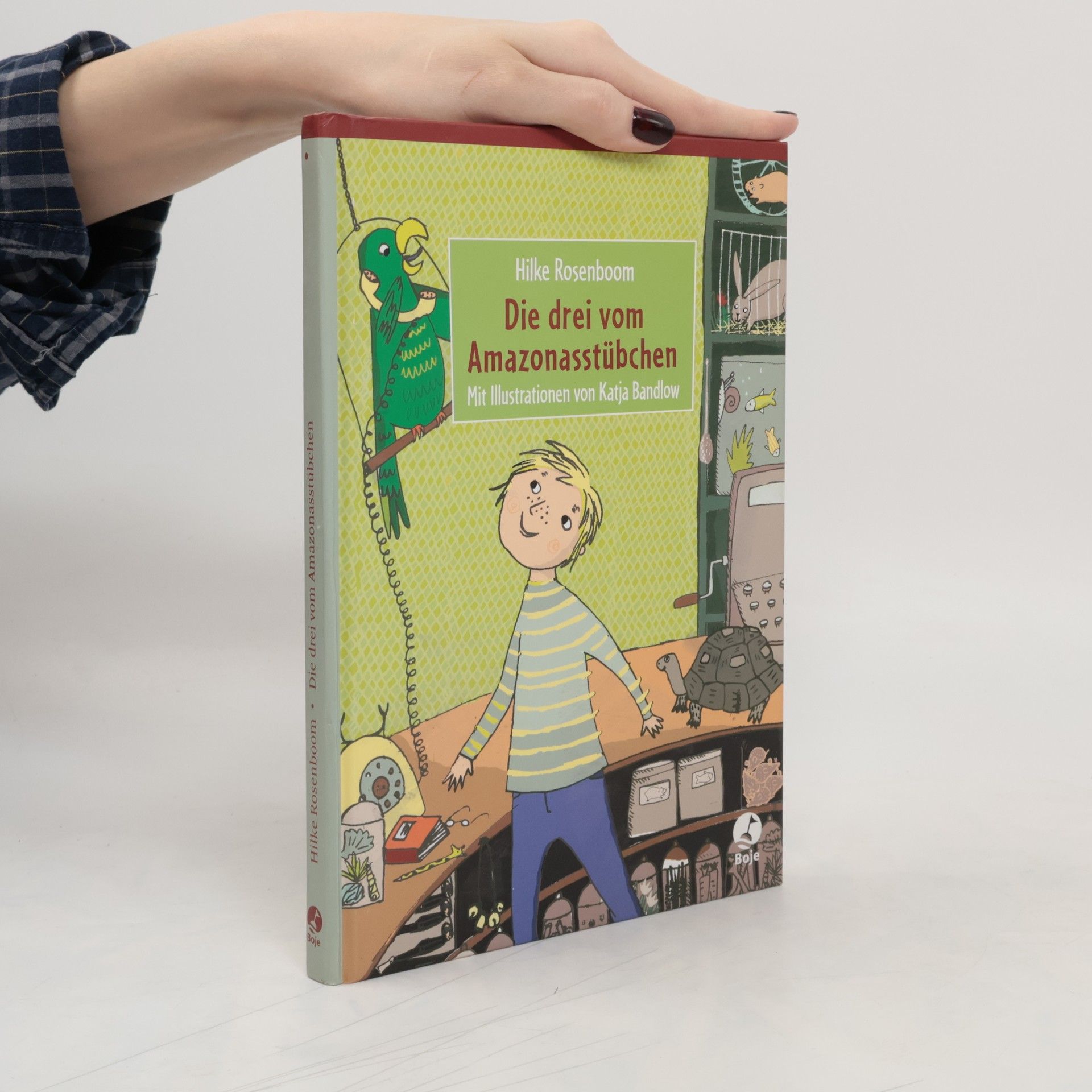 Hilke Rosenboom Die drei vom Amazonasstübchen