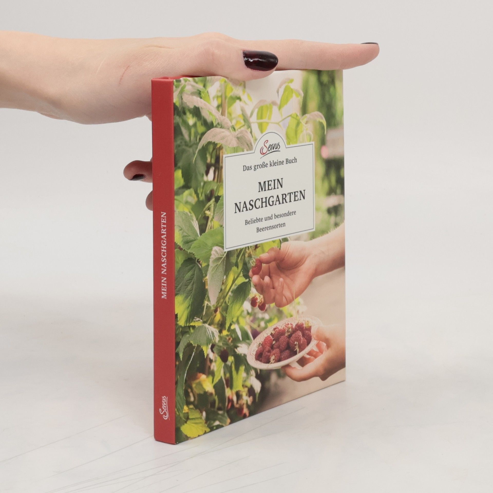 Veronika Schubert Das große kleine Buch: Mein Naschgarten