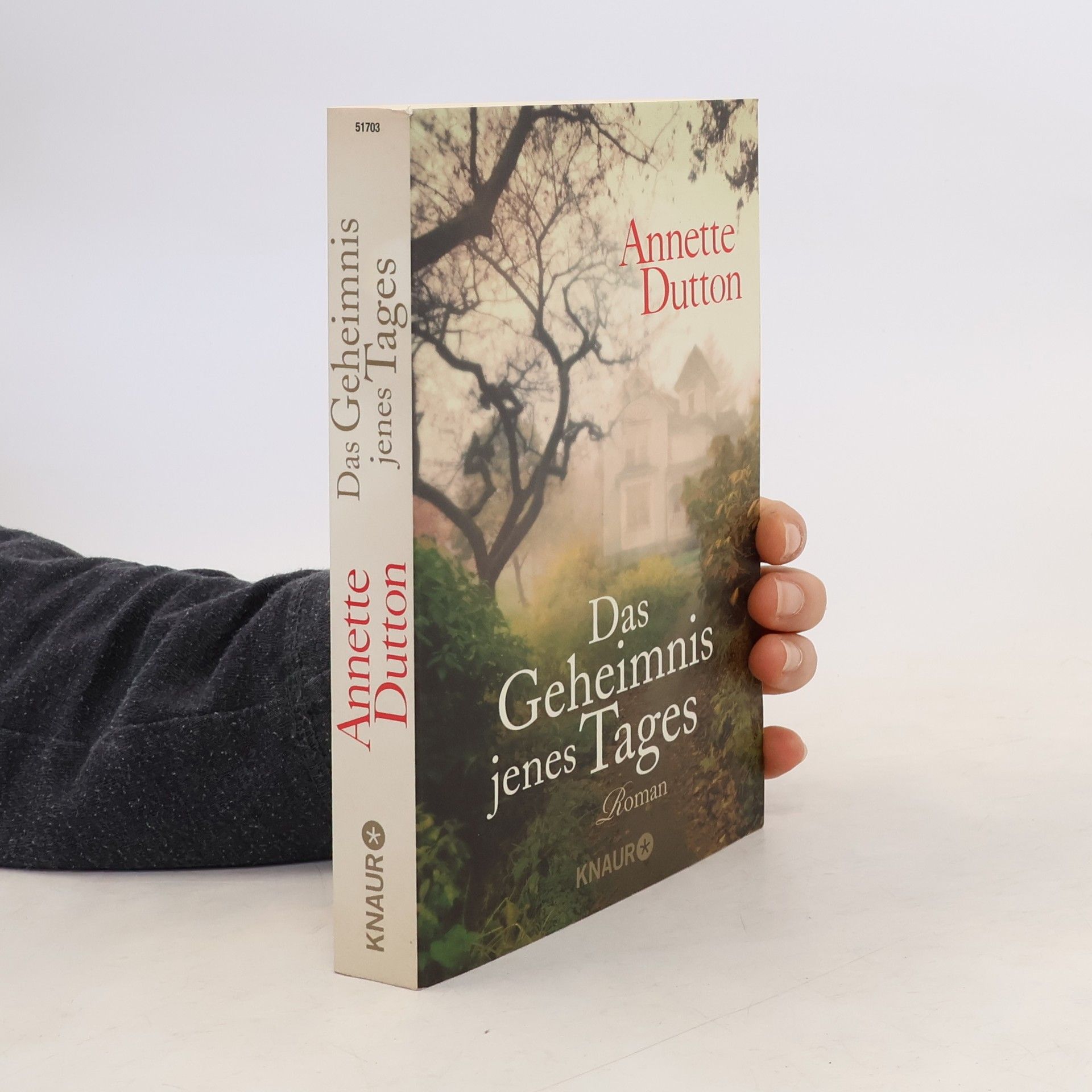 Annette Dutton Das Geheimnis jenes Tages