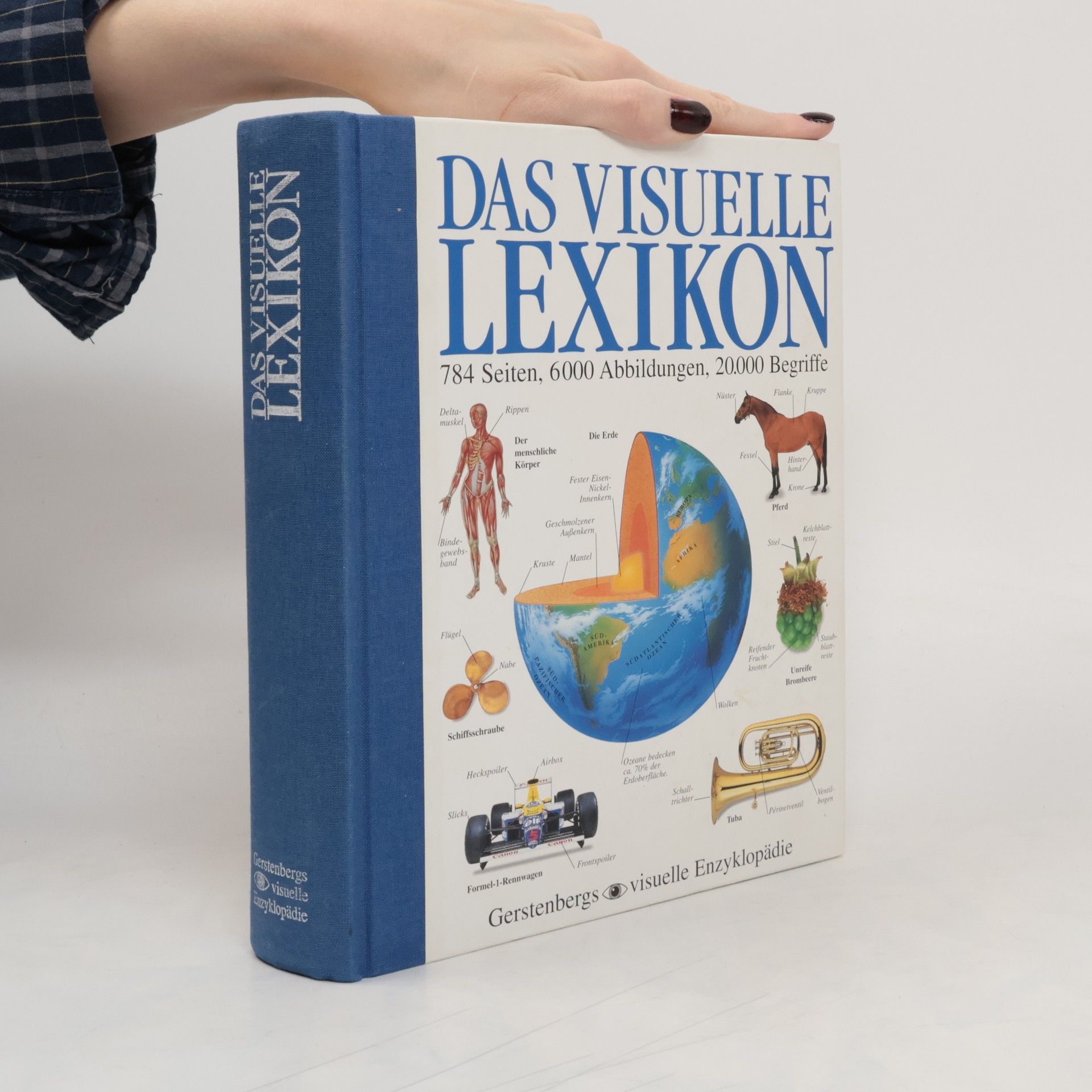 Margot Wilhelmi Das visuelle Lexikon