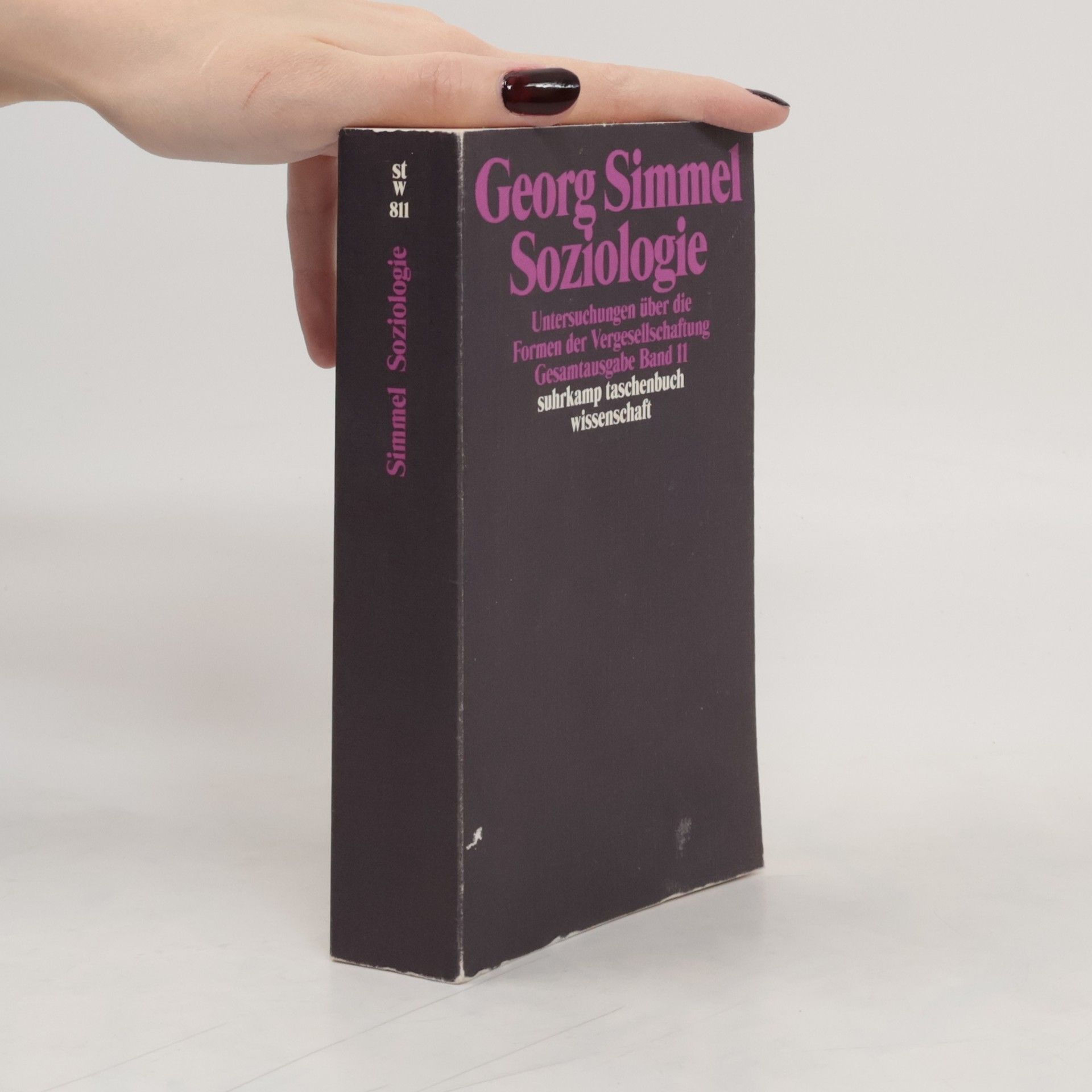 Georg Simmel Soziologie