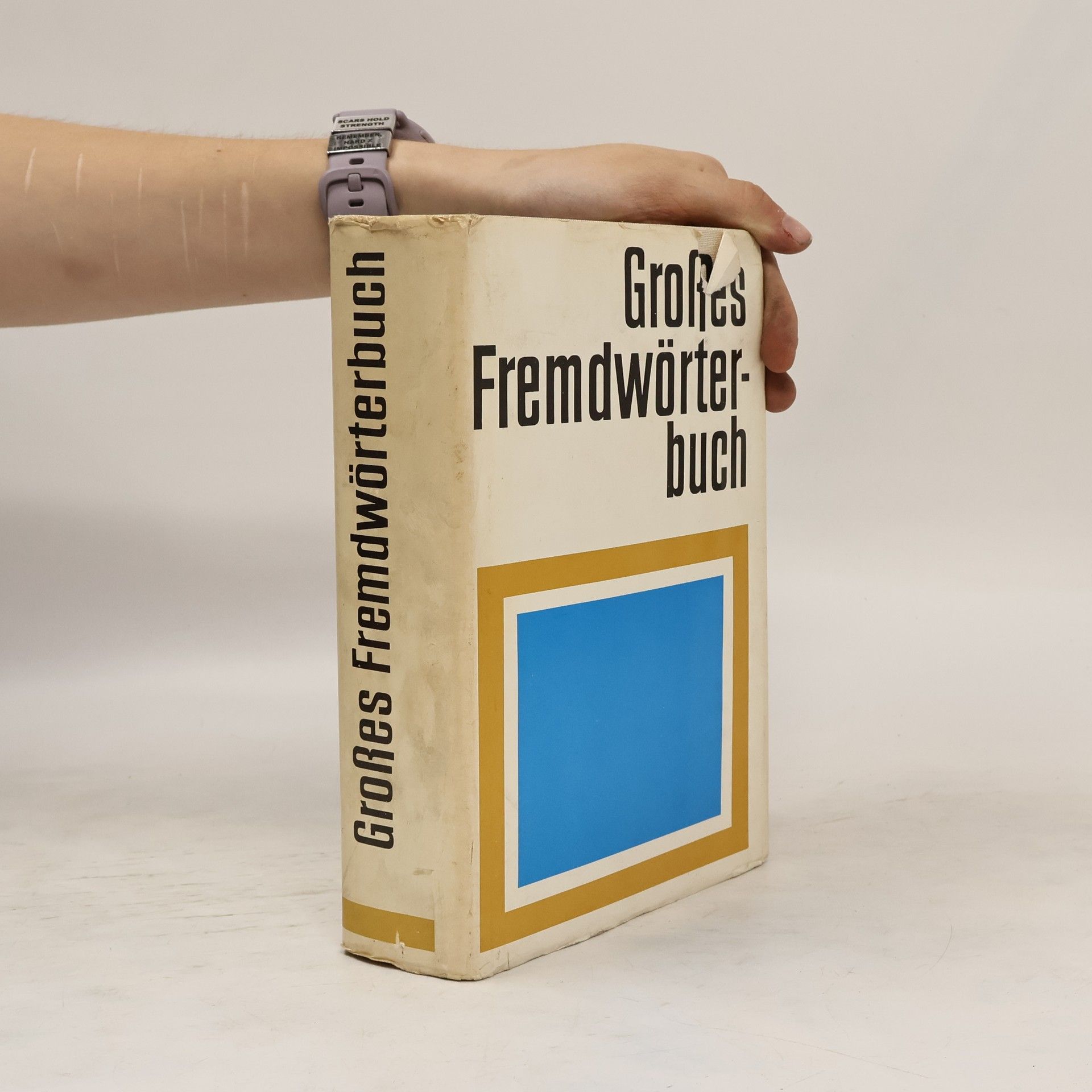 Autorenkollektiv Großes Fremdwörterbuch