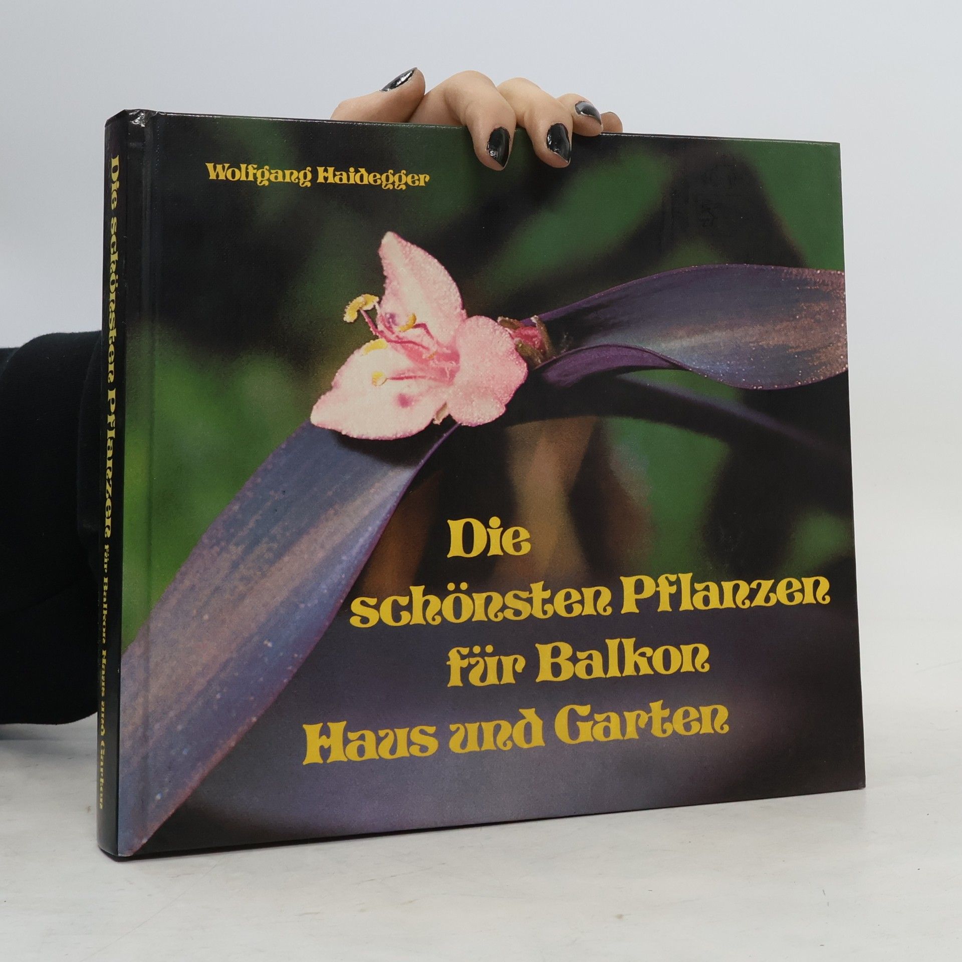 Wolfgang Haidegger  Die schönsten Pflanzen für Balkon, Haus und Garten