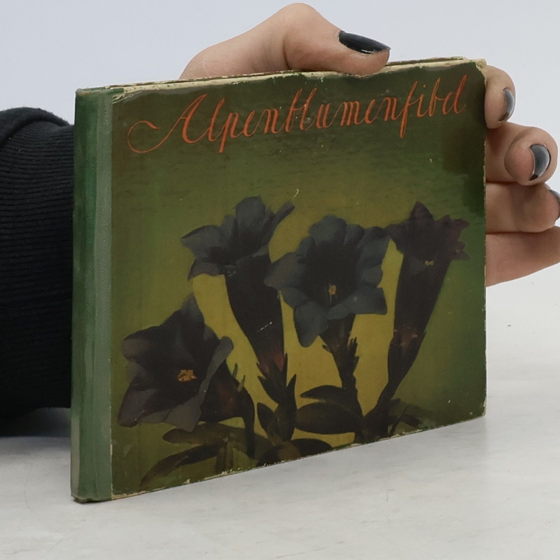 Walter Amstutz Alpenblumenfibel