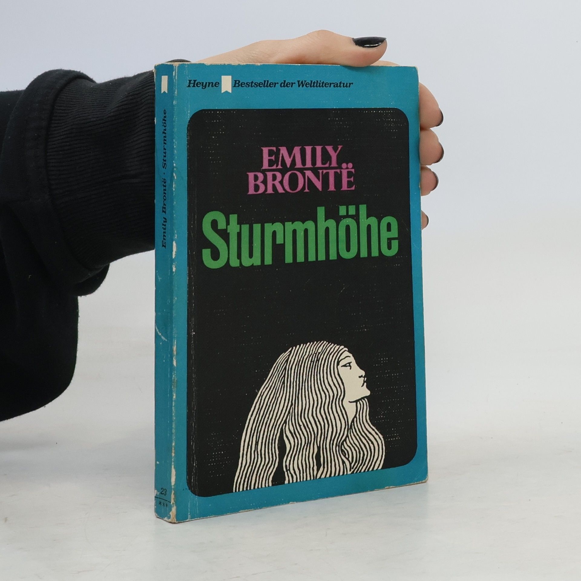 Emily Brontë Sturmhöhe