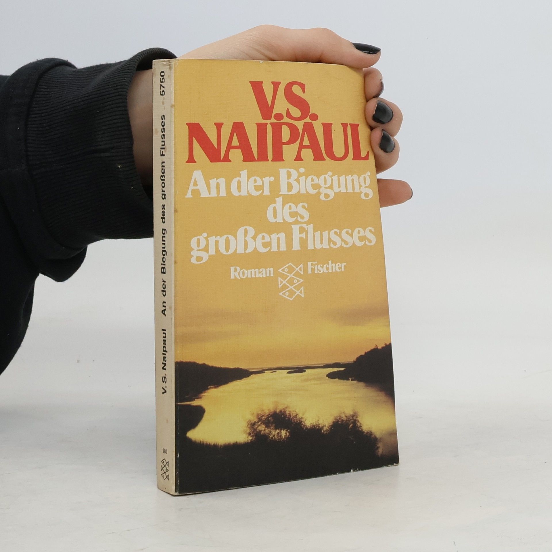 V. S. Naipaul An der Biegung des grossen Flusses