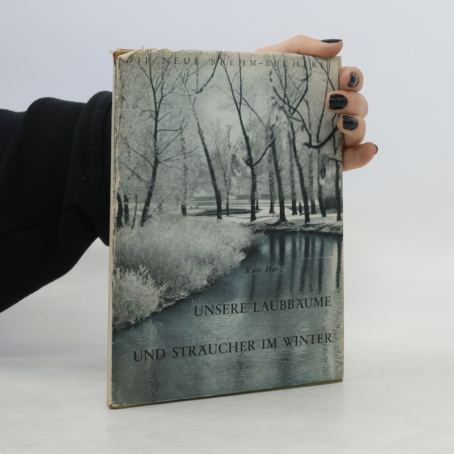 Kurt Harz Unsere Laubbäume und Sträucher im Winter