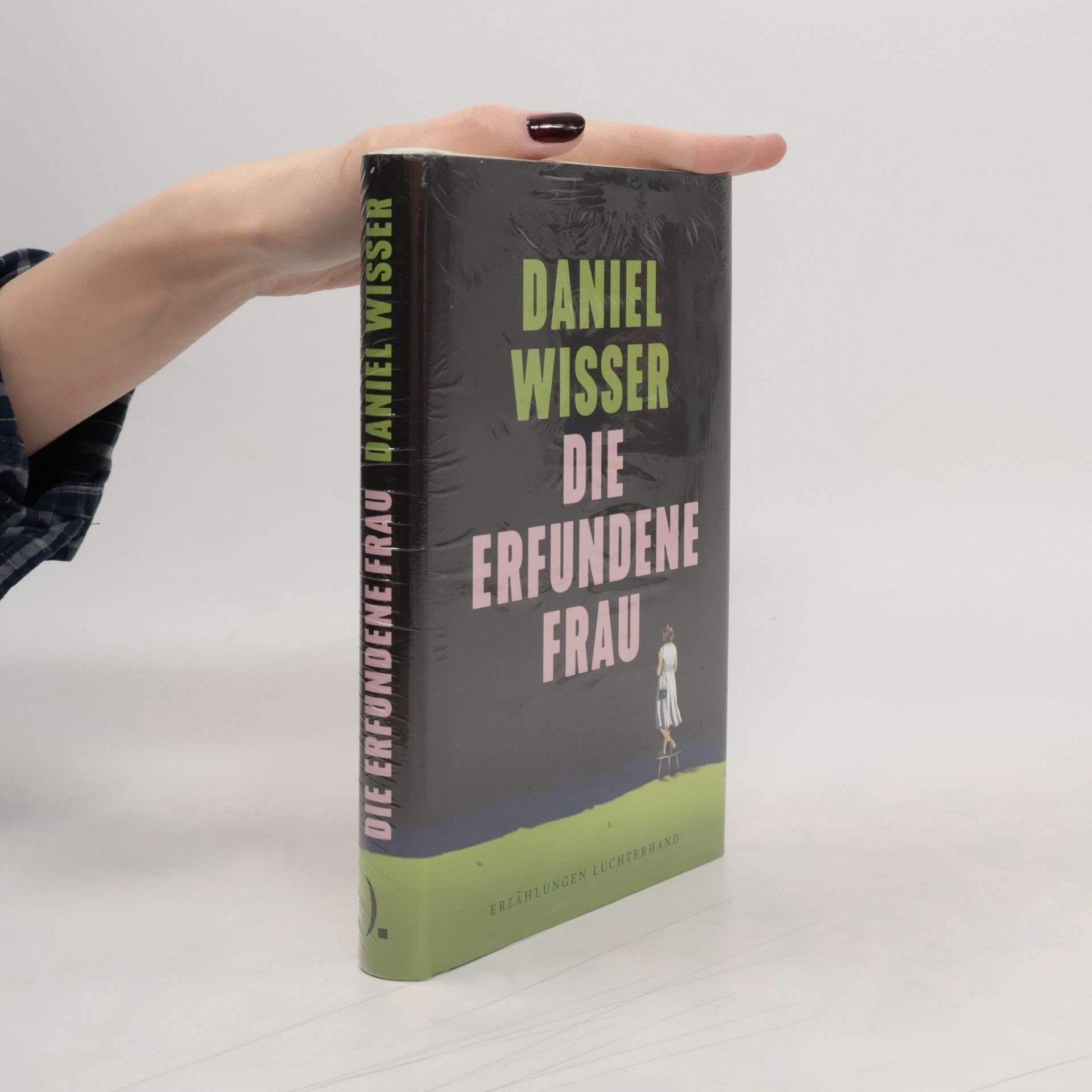 Daniel Wisser Die erfundene Frau
