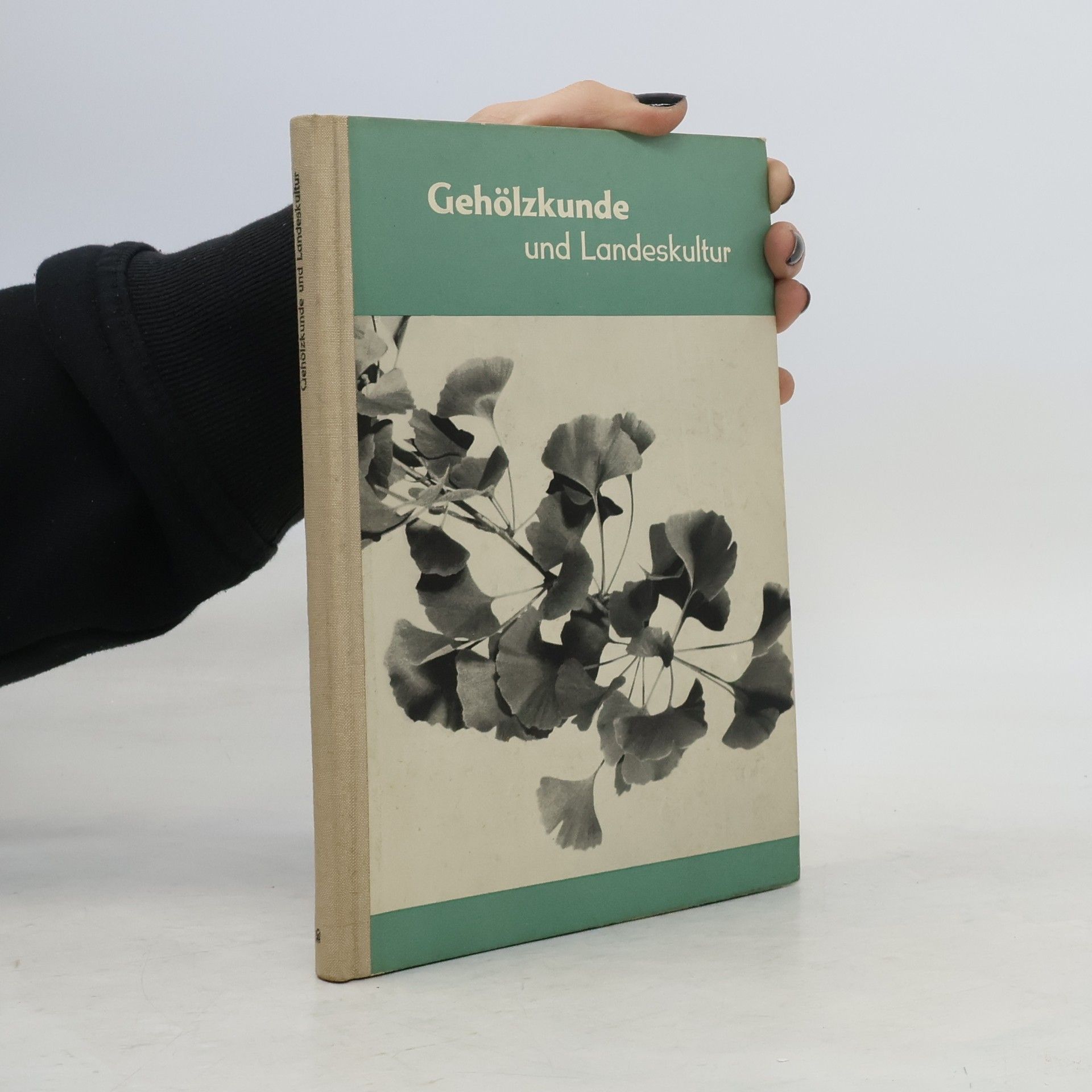 Autorenkollektiv Gehölzkunde und Landeskultur