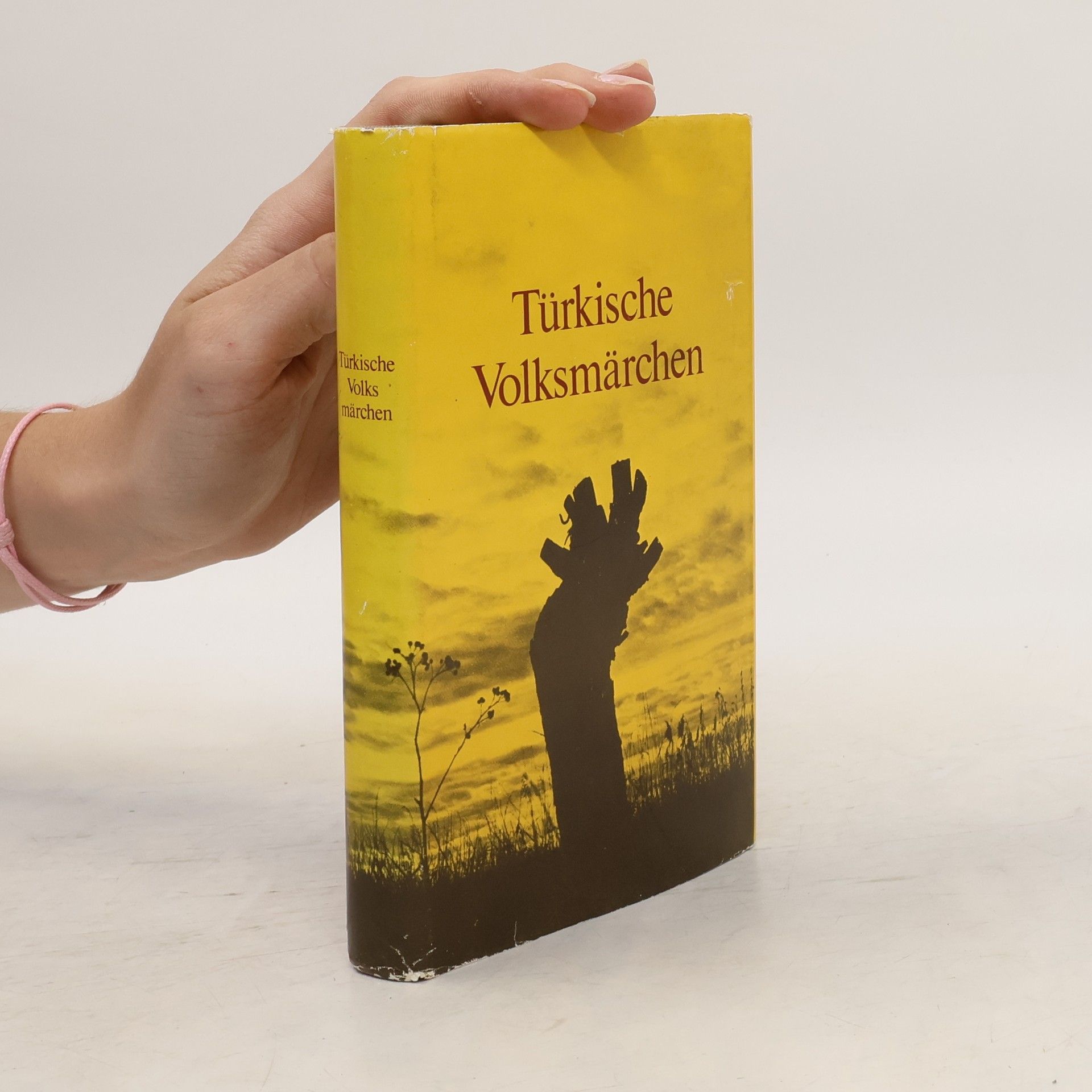 Pertev Naili Boratav Türkische Volksmärchen