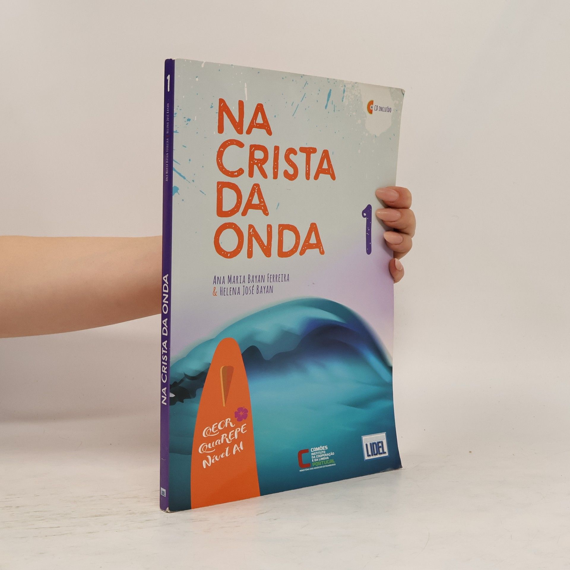 Ana Maria Bayan Ferreira Na crista da onda