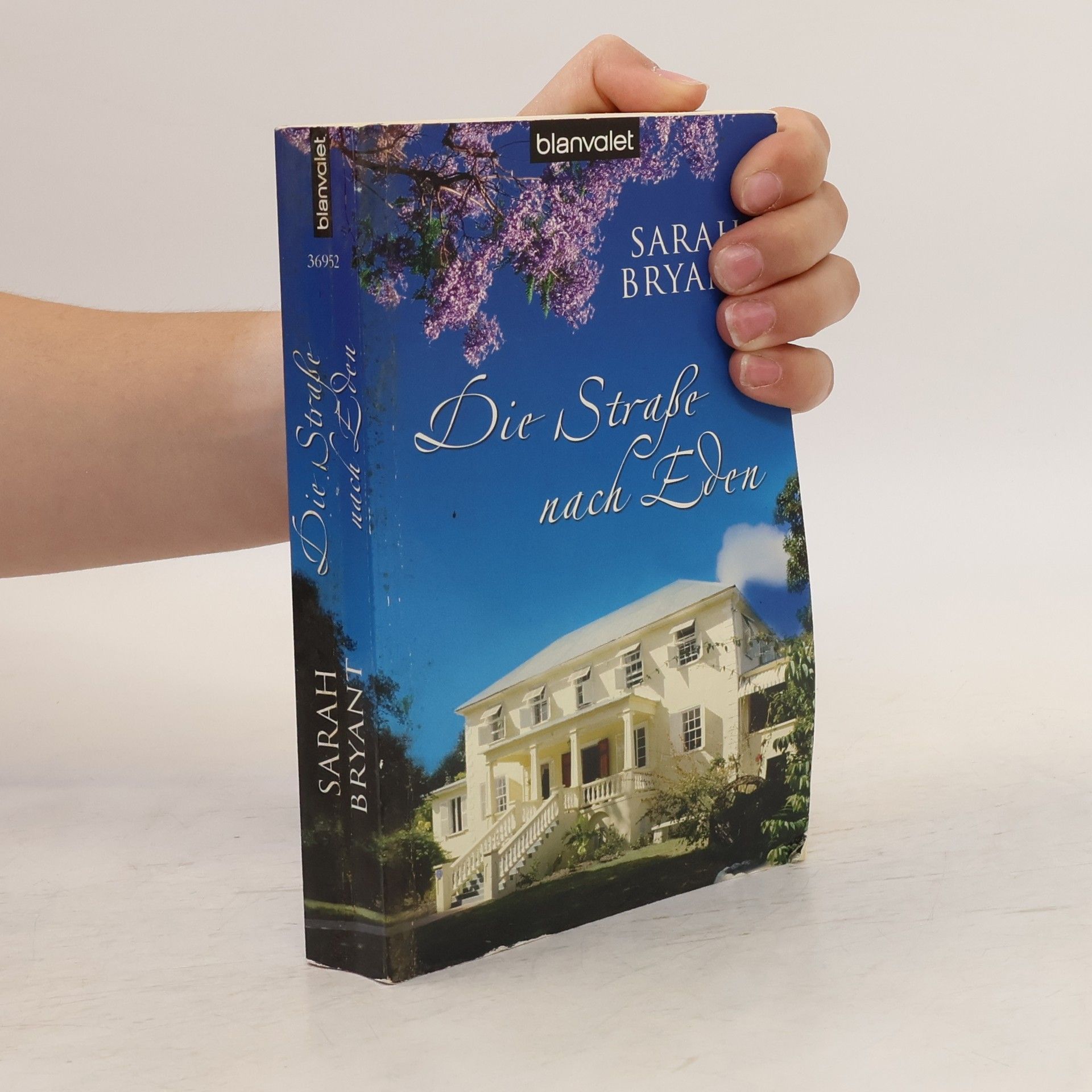 Sarah Bryant Die Straße nach Eden. Roman